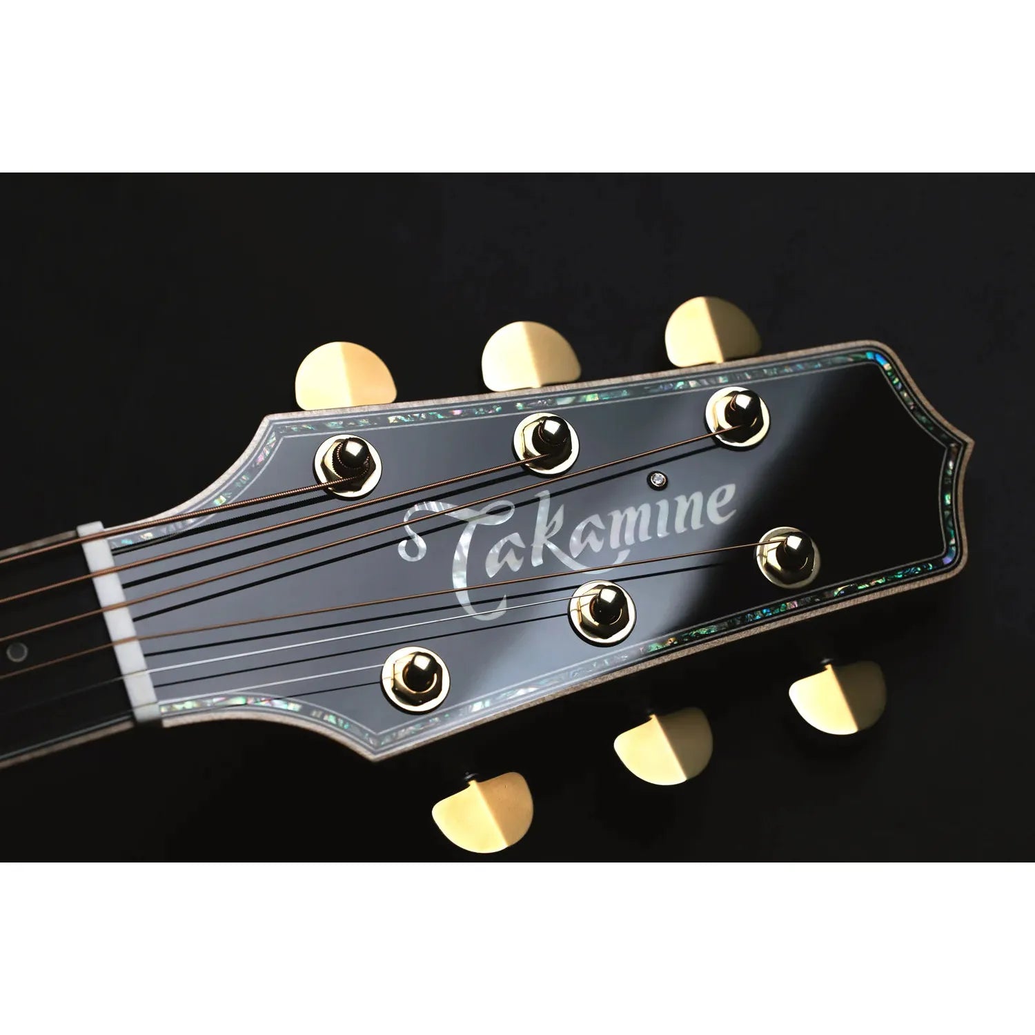 Đàn Guitar Takamine 60th Anniversary LTD - Việt Music