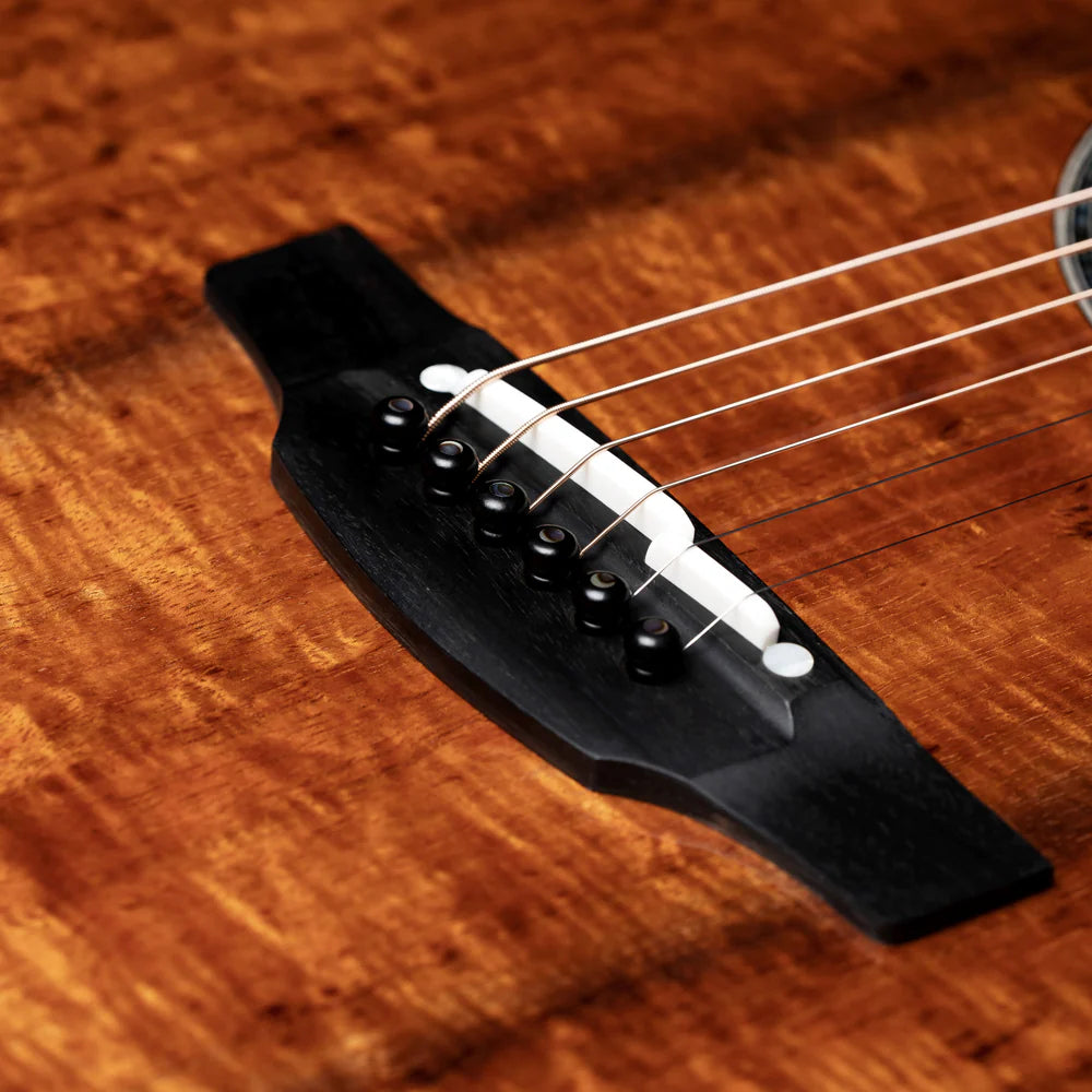 Đàn Guitar Takamine 60th Anniversary LTD - Việt Music