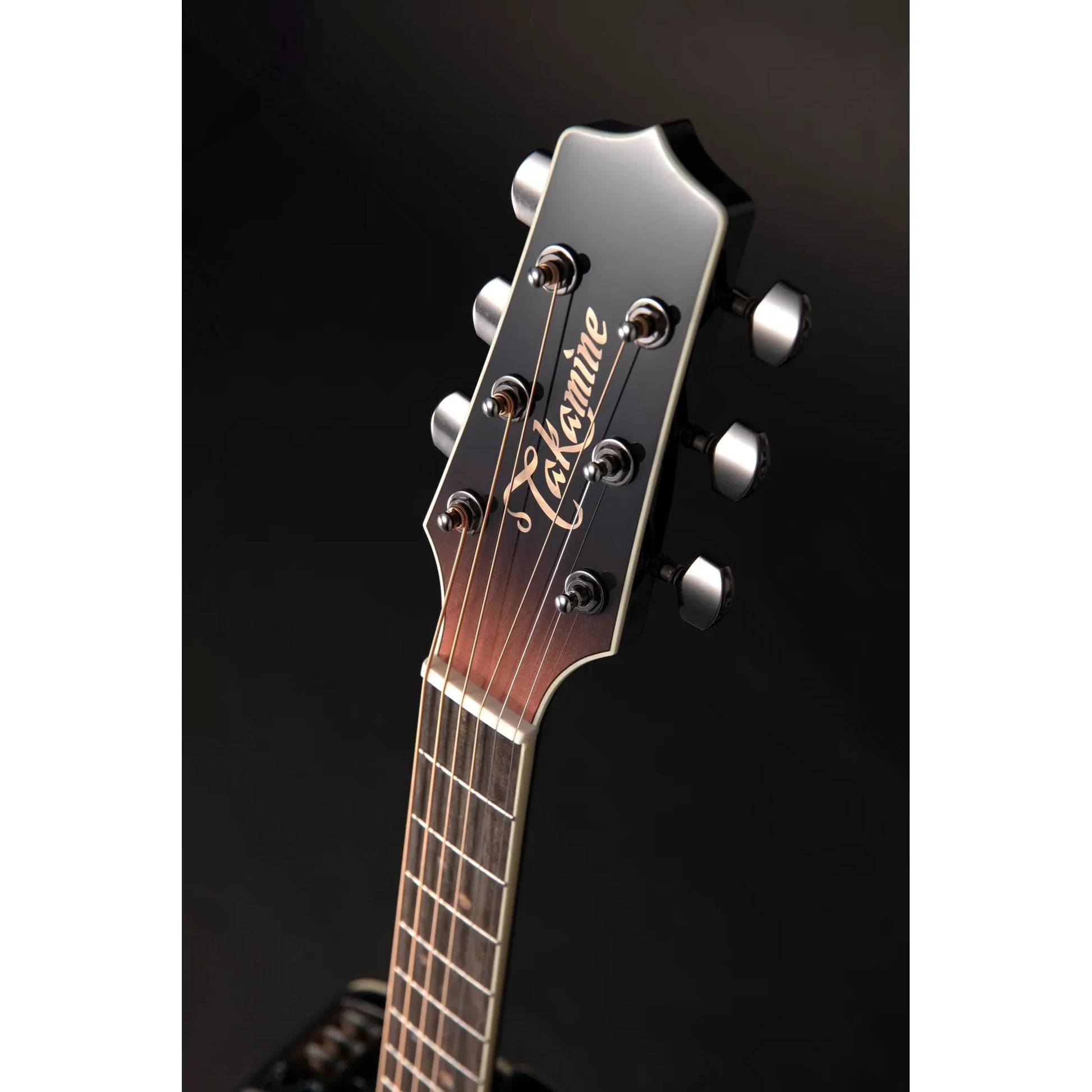 Đàn Guitar Acoustic Takamine LTD 2024 - Việt Music