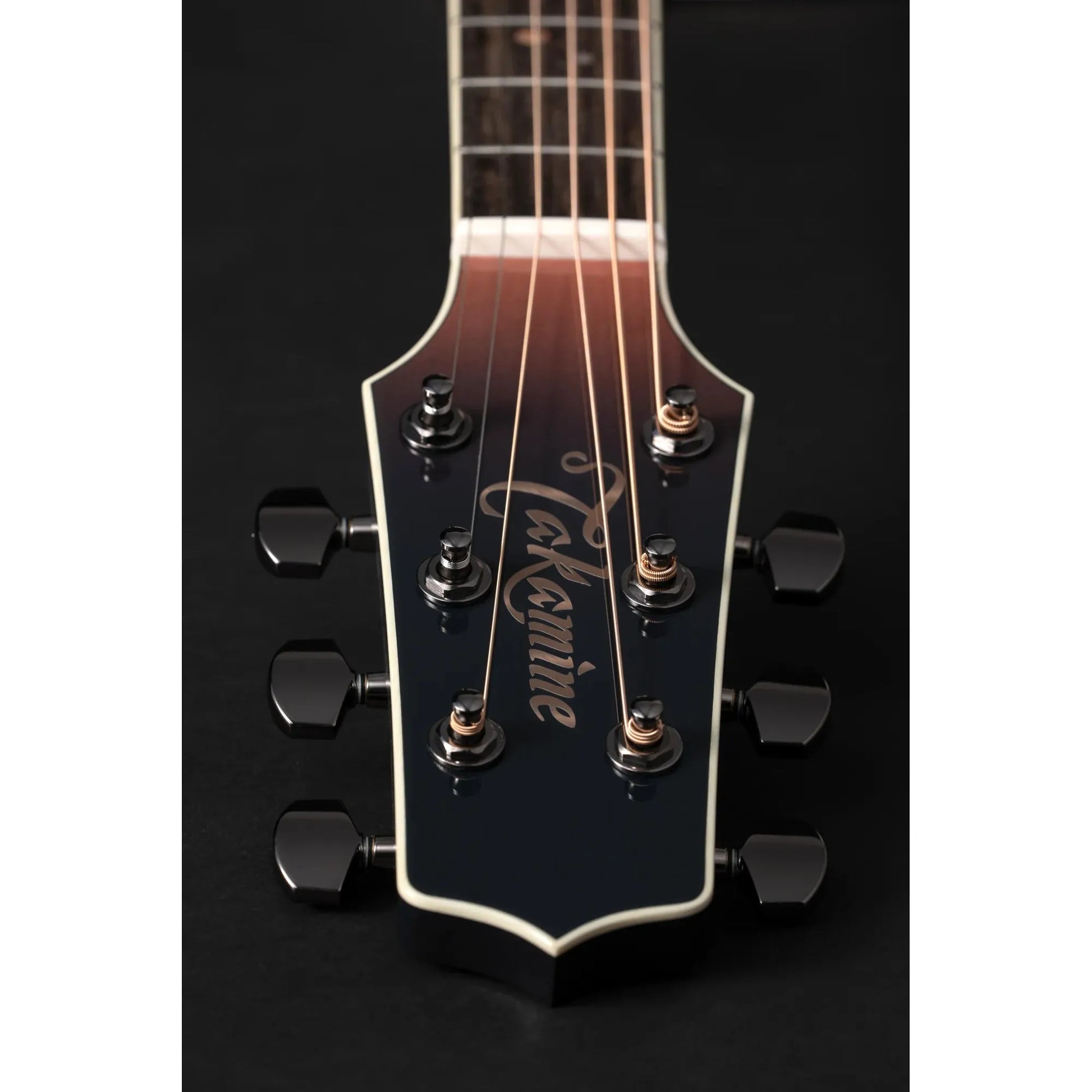 Đàn Guitar Acoustic Takamine LTD 2024 - Việt Music