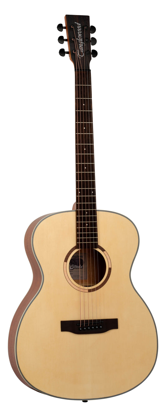 Đàn Guitar Acoustic Tanglewood TS3 - Việt Music
