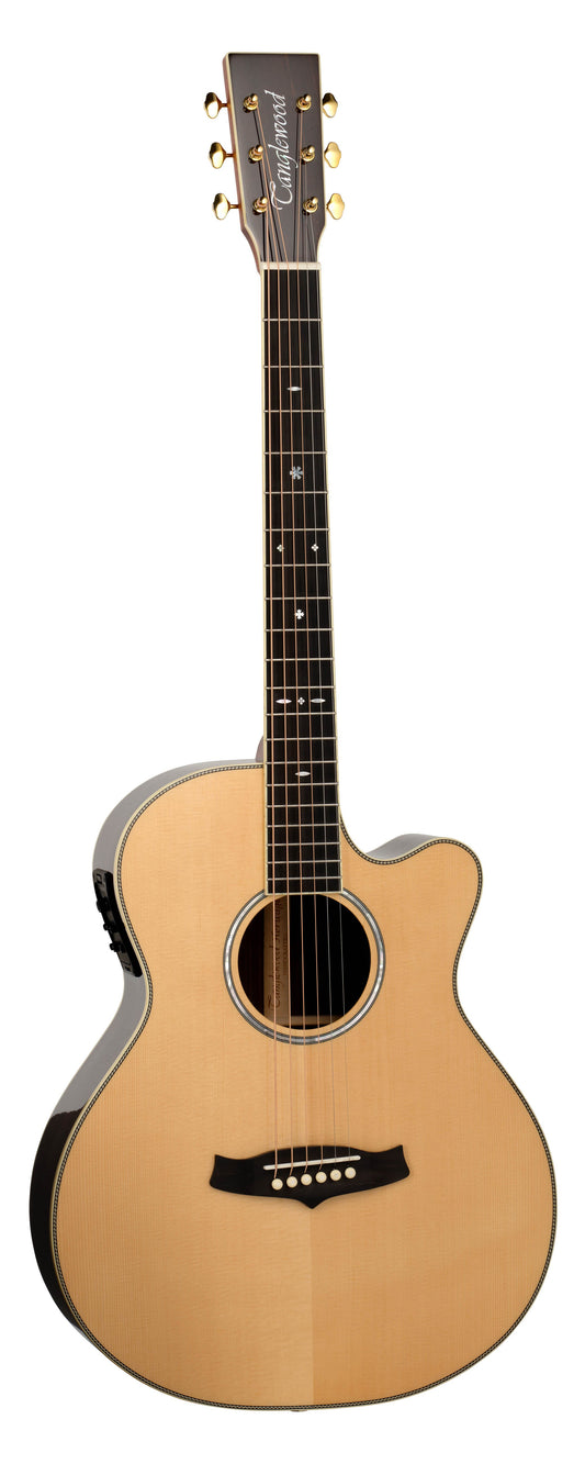 Đàn Guitar Acoustic Tanglewood TW45HSRE - Việt Music