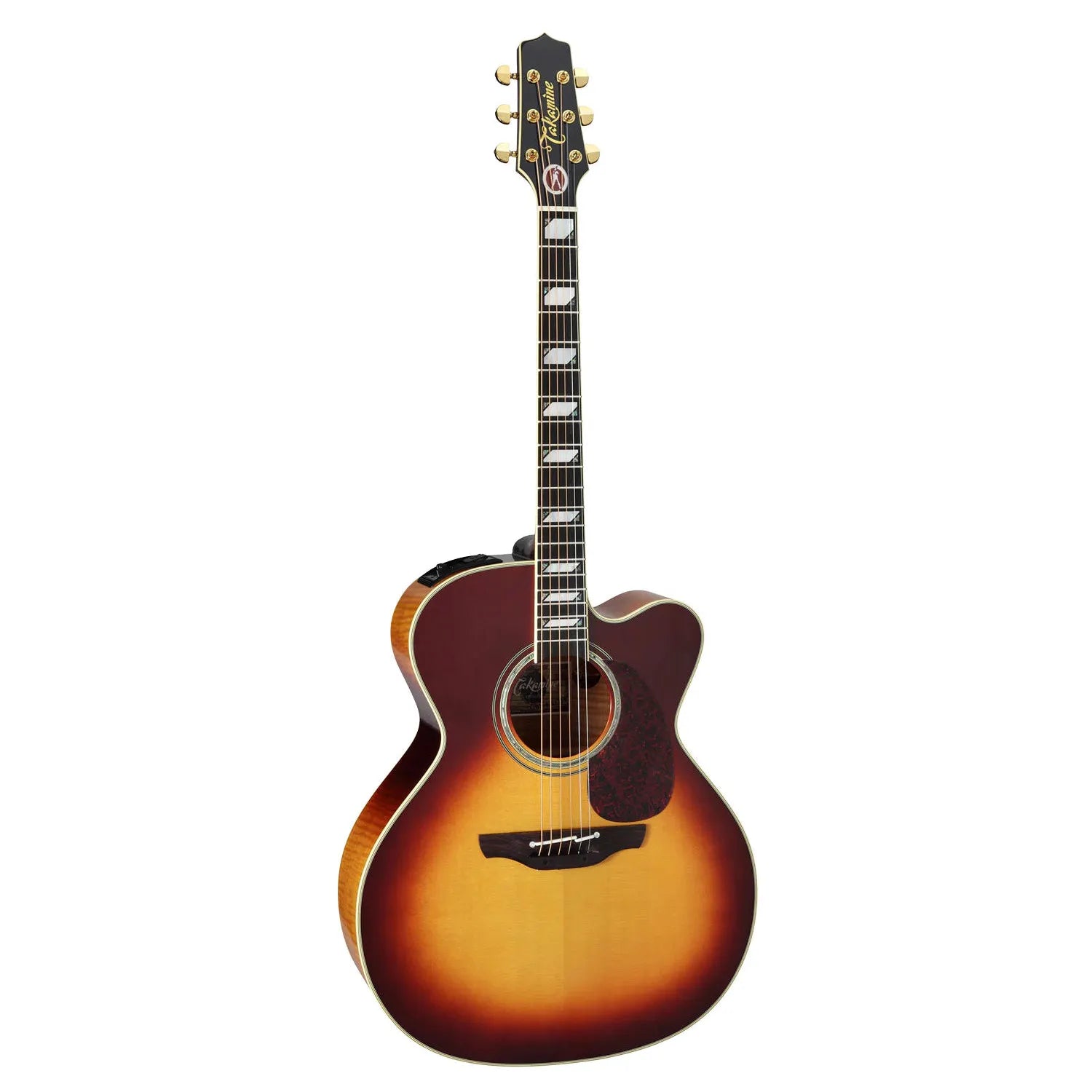 Đàn Guitar Acoustic Takamine EF250TK - Việt Music