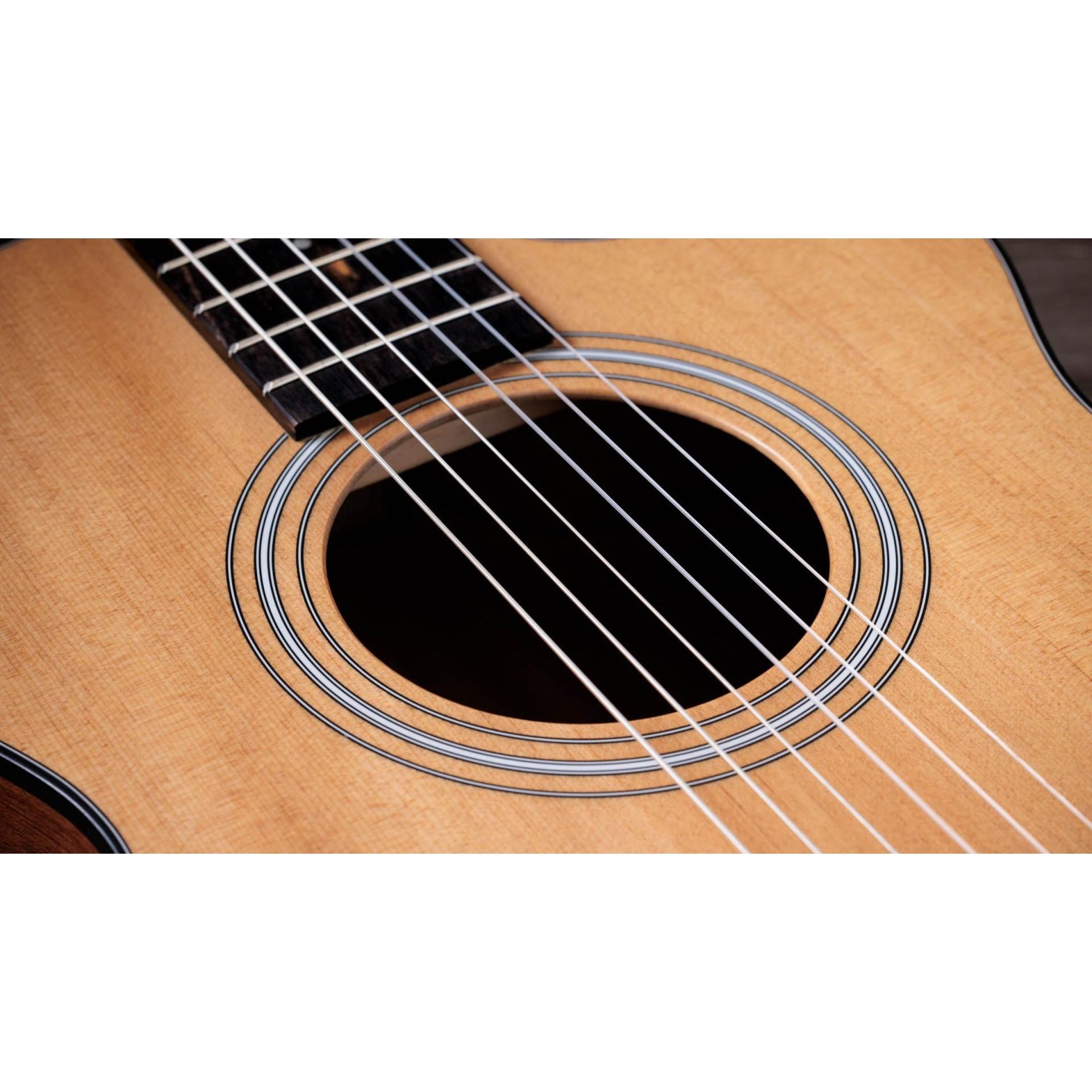 Đàn Guitar Classic Taylor 112CE-N - Việt Music