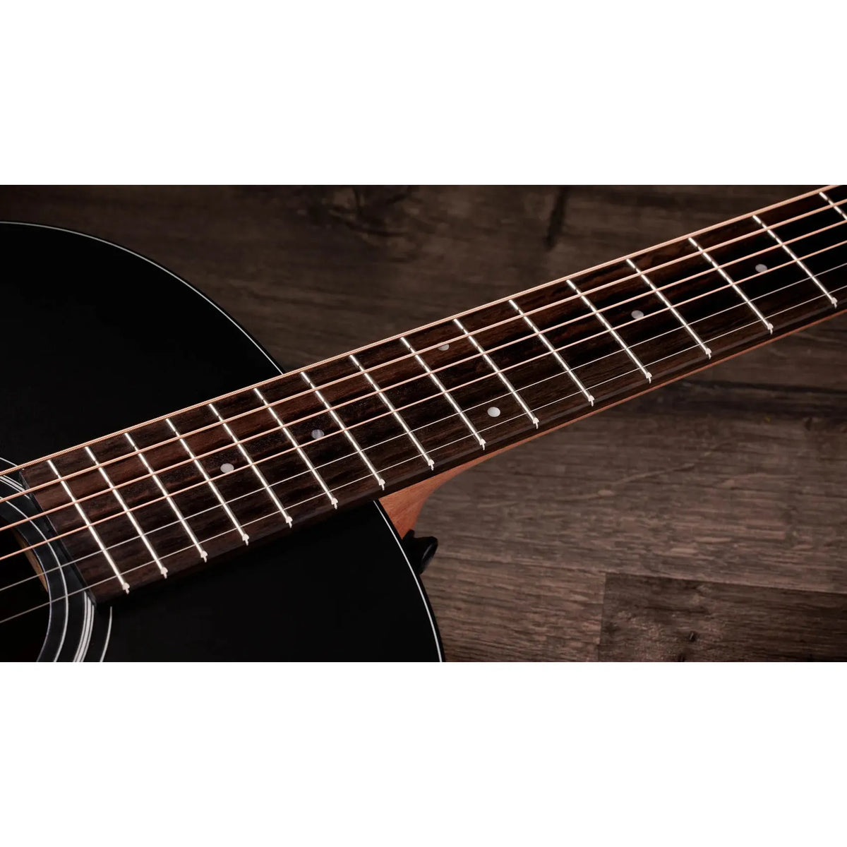 Đàn Guitar Acoustic Taylor 117e Special Edition - Việt Music