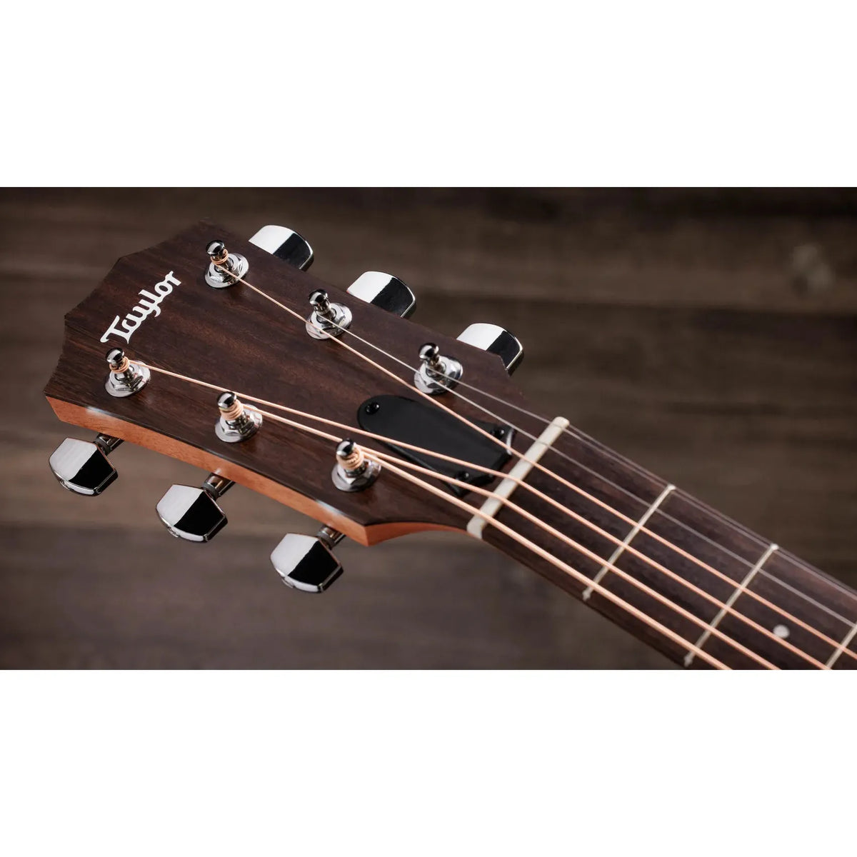 Đàn Guitar Acoustic Taylor 117e Special Edition - Việt Music
