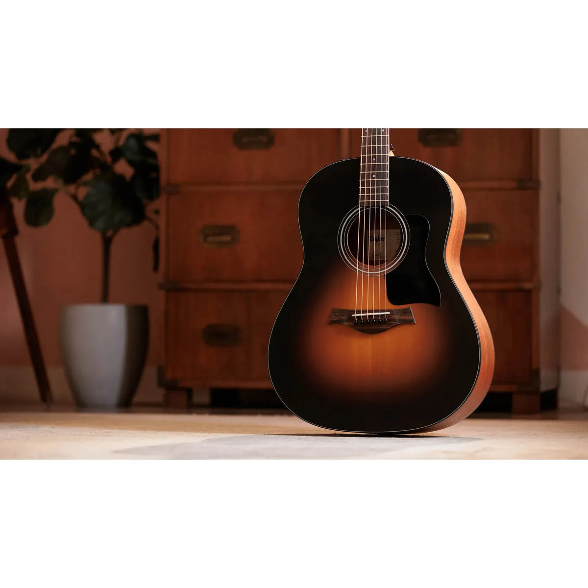 Đàn Guitar Acoustic Taylor 117e Special Edition - Việt Music