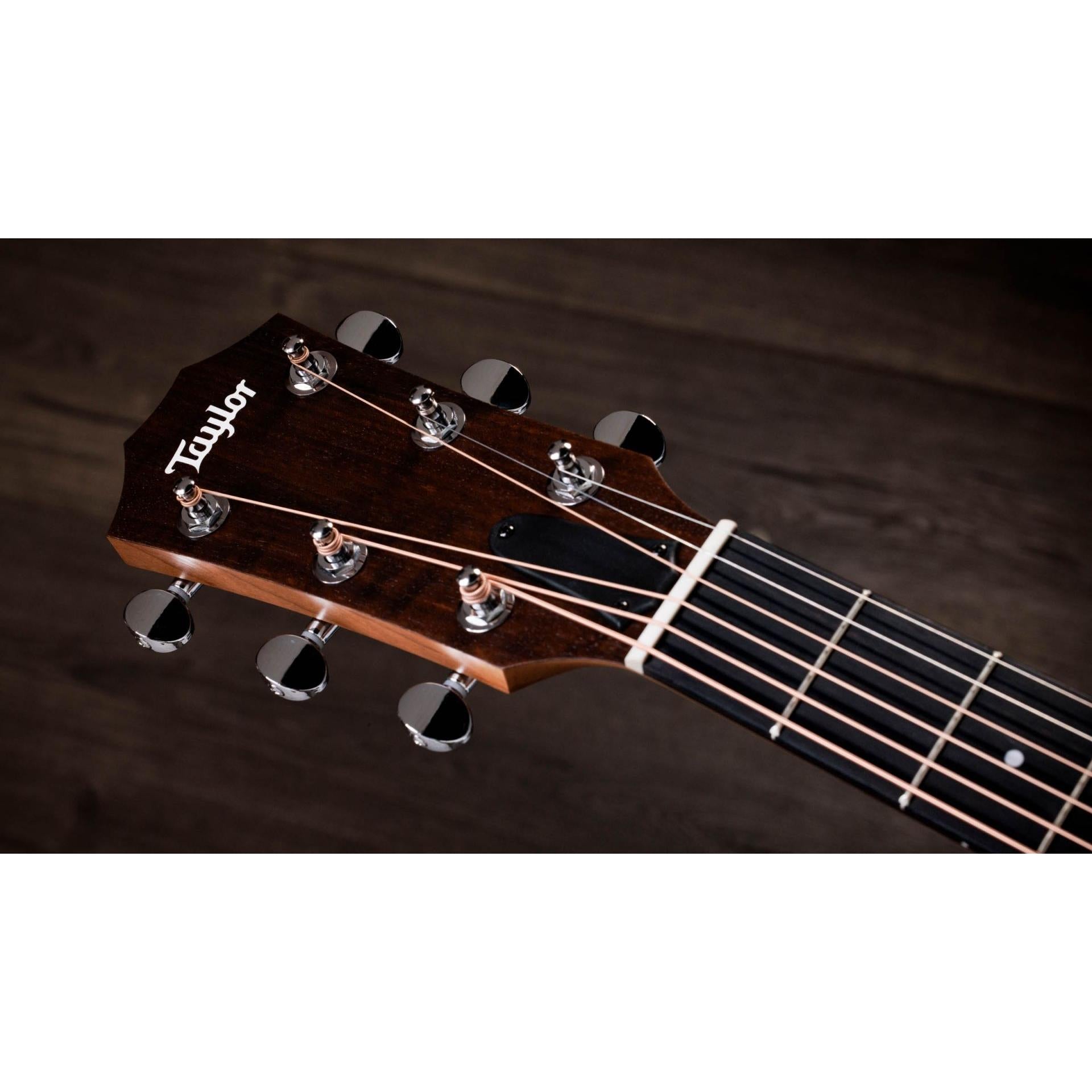 Đàn Guitar Acoustic Taylor 14ce - Việt Music
