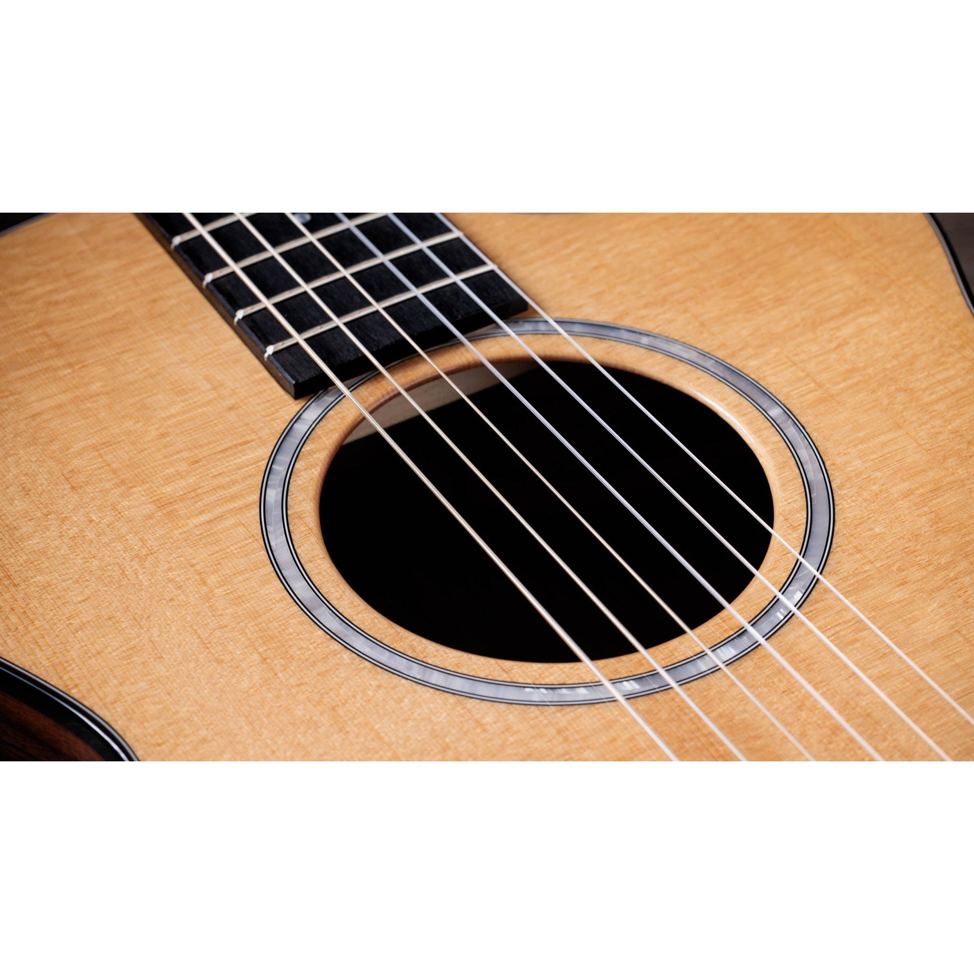 Đàn Guitar Classic Taylor 212CE-N Plus - Grand Concert - Việt Music