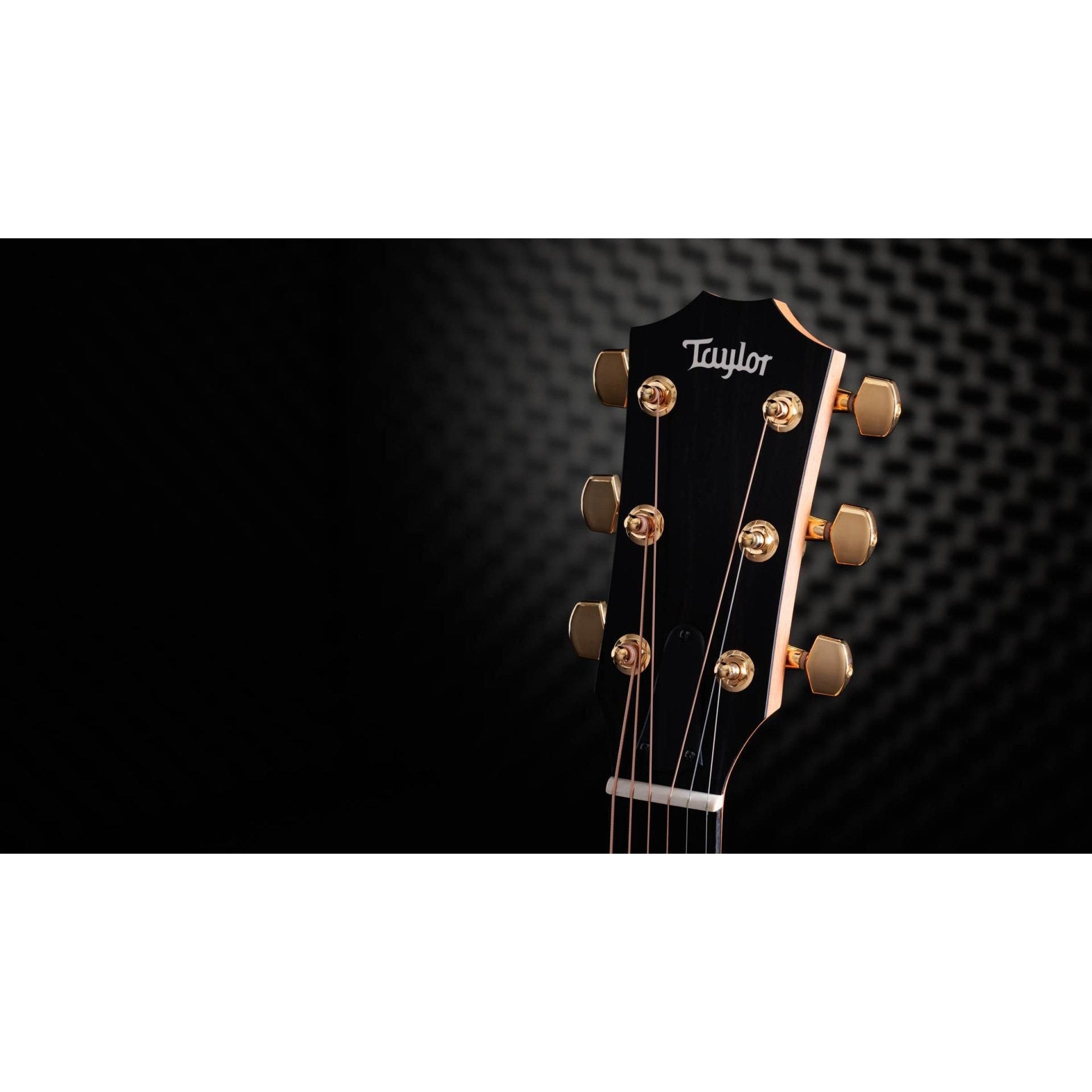 Đàn Guitar Acoustic Taylor 217E-SB Plus LTD - Grand Pacific - Việt Music
