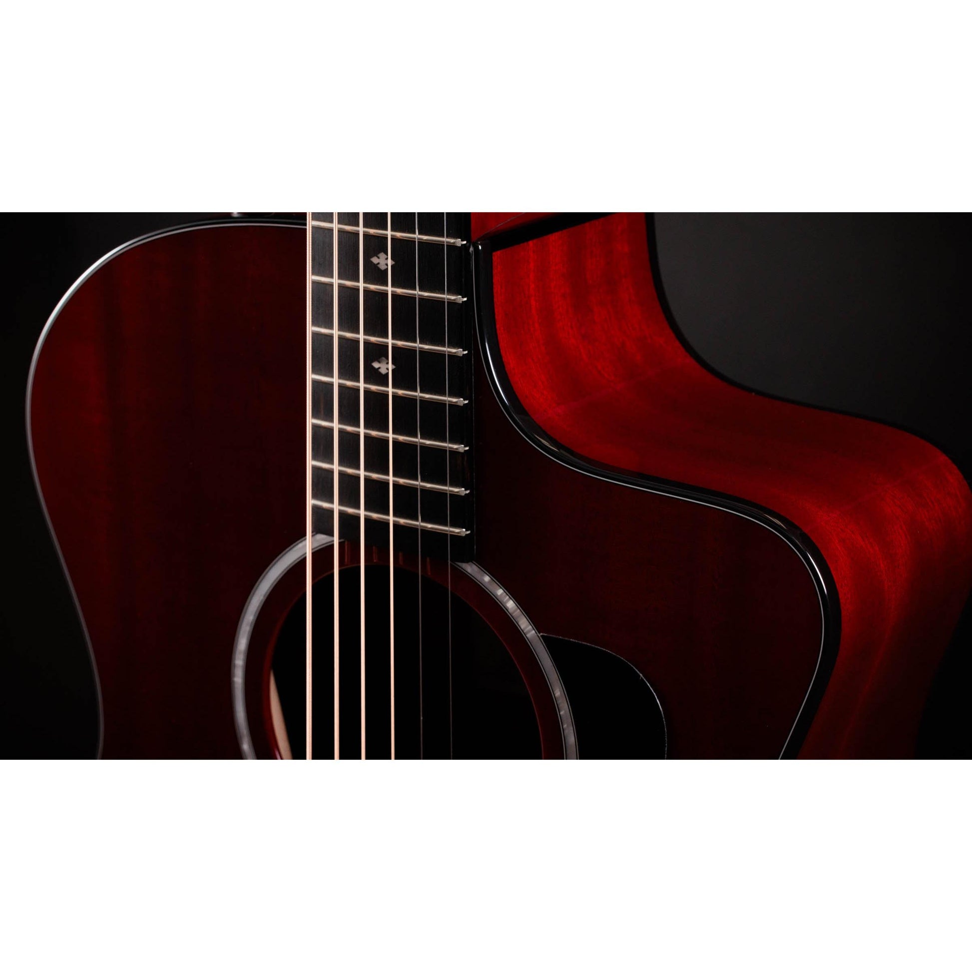 Đàn Guitar Acoustic Taylor 224CE Plus Special Edition - Việt Music