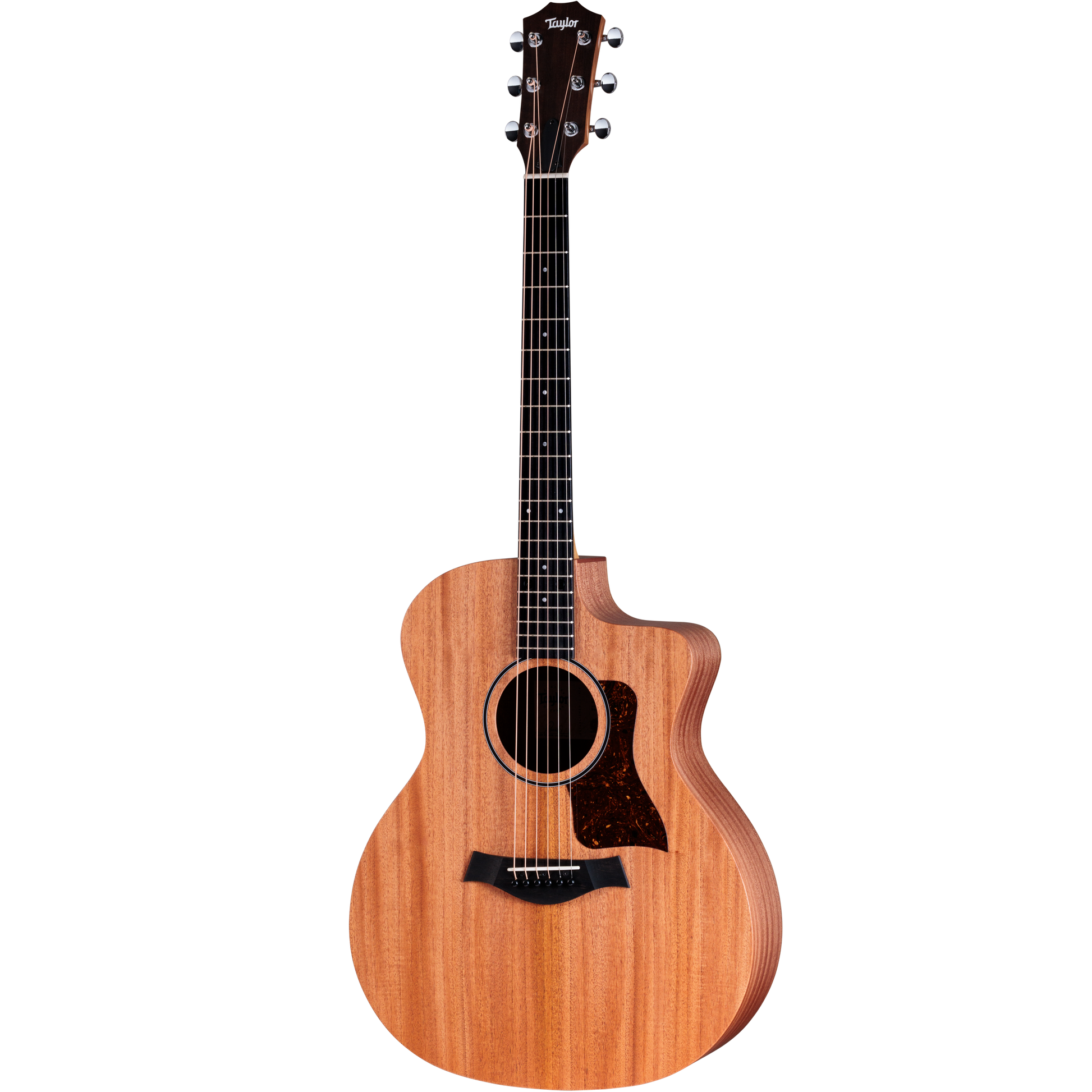 Đàn Guitar Acoustic Taylor 24CE - Việt Music