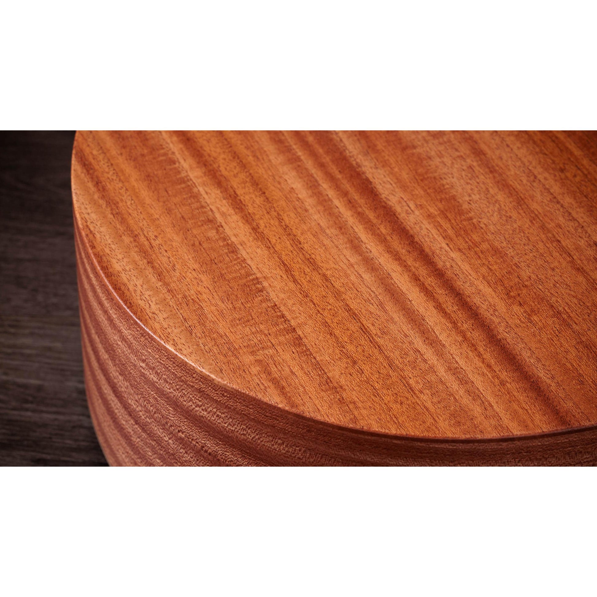 Đàn Guitar Acoustic Taylor 24CE - Việt Music