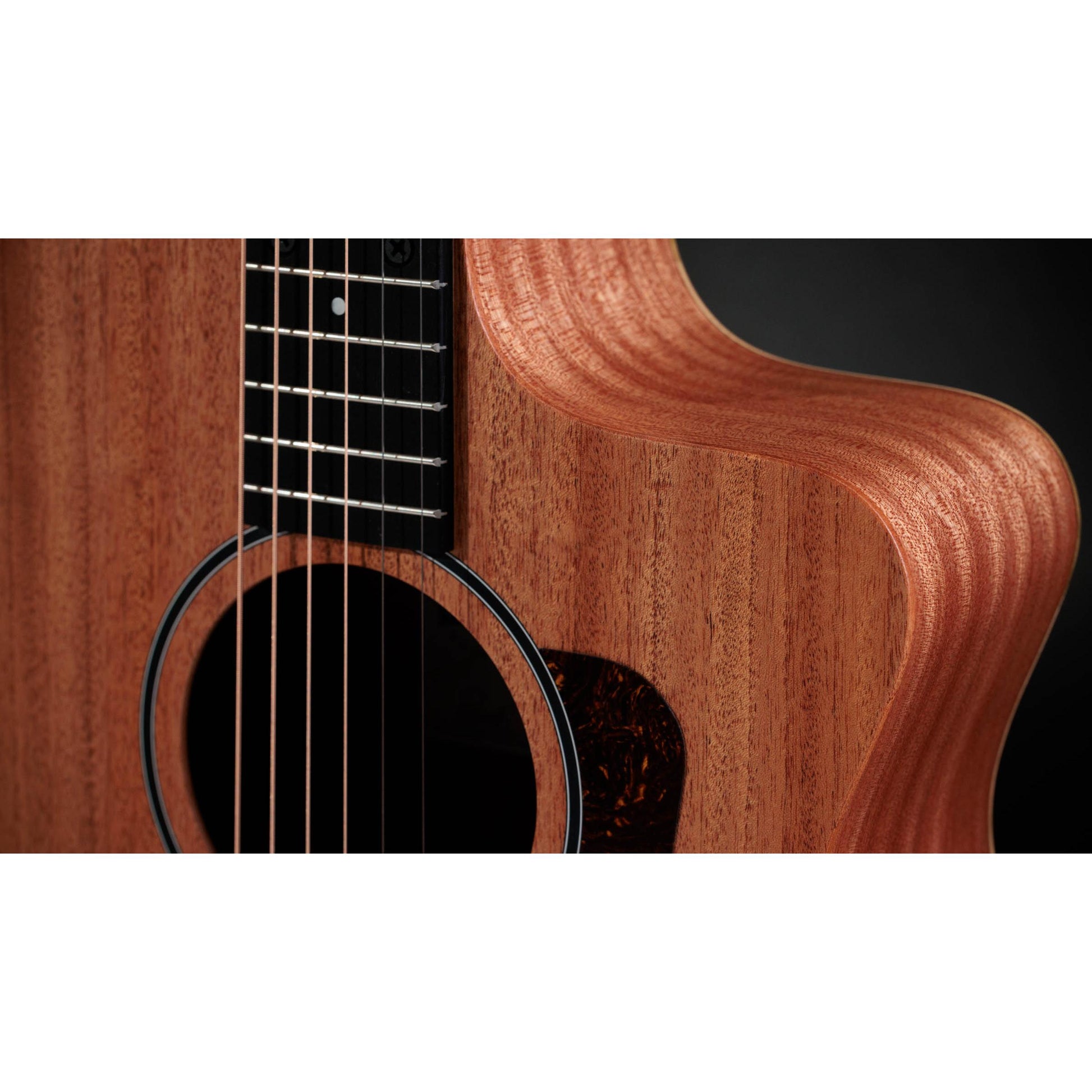 Đàn Guitar Acoustic Taylor 24CE - Việt Music