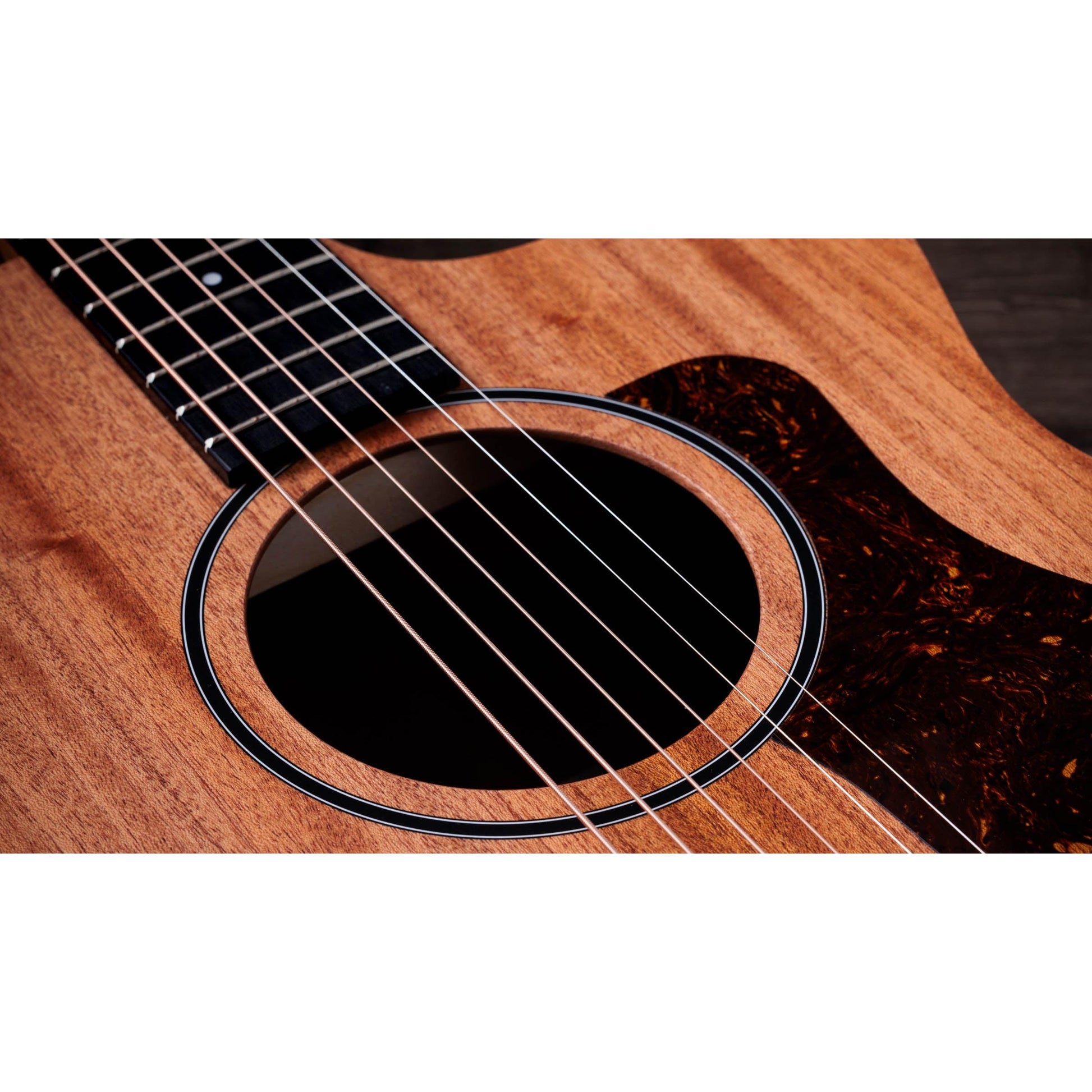 Đàn Guitar Acoustic Taylor 24CE - Việt Music