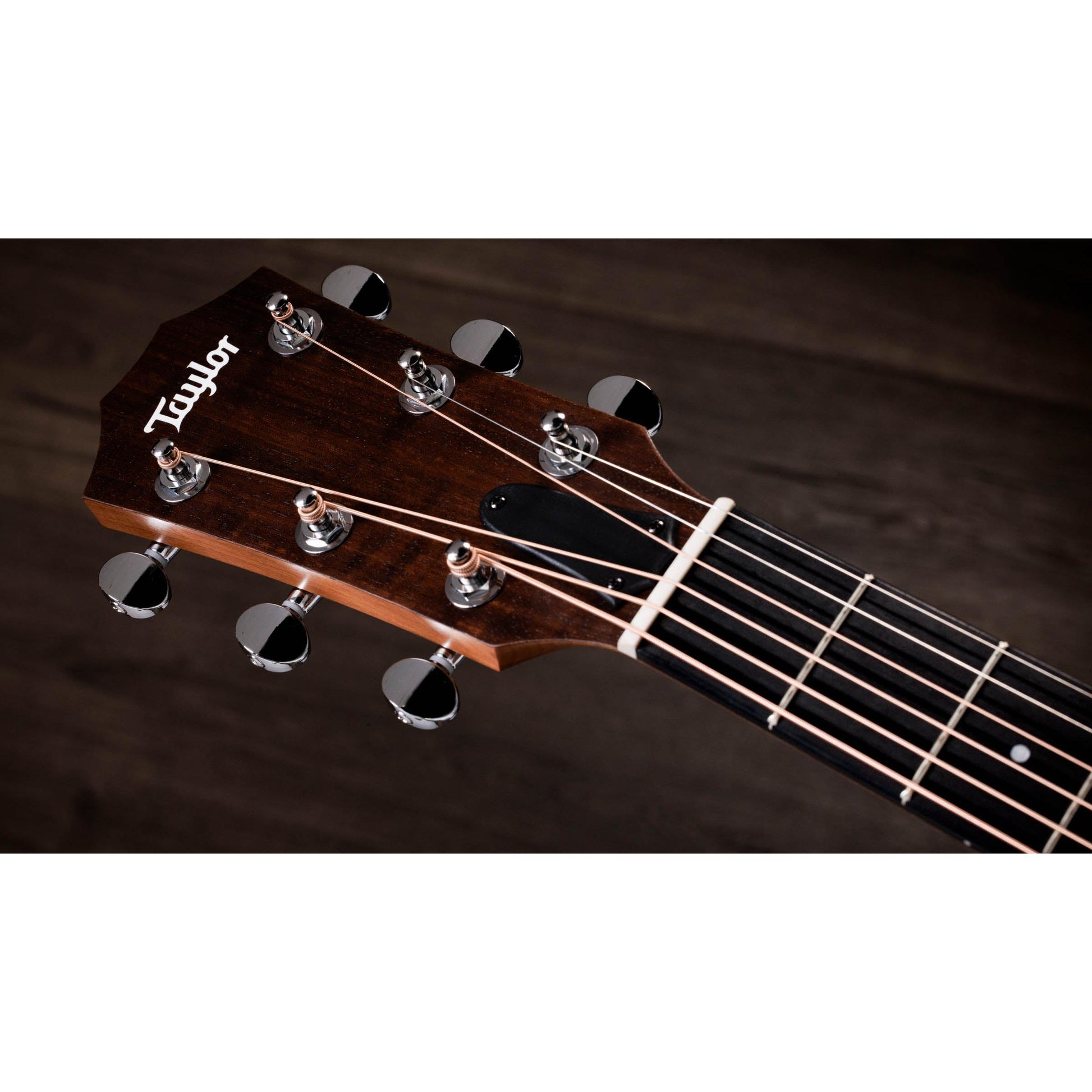 Đàn Guitar Acoustic Taylor 24CE - Việt Music