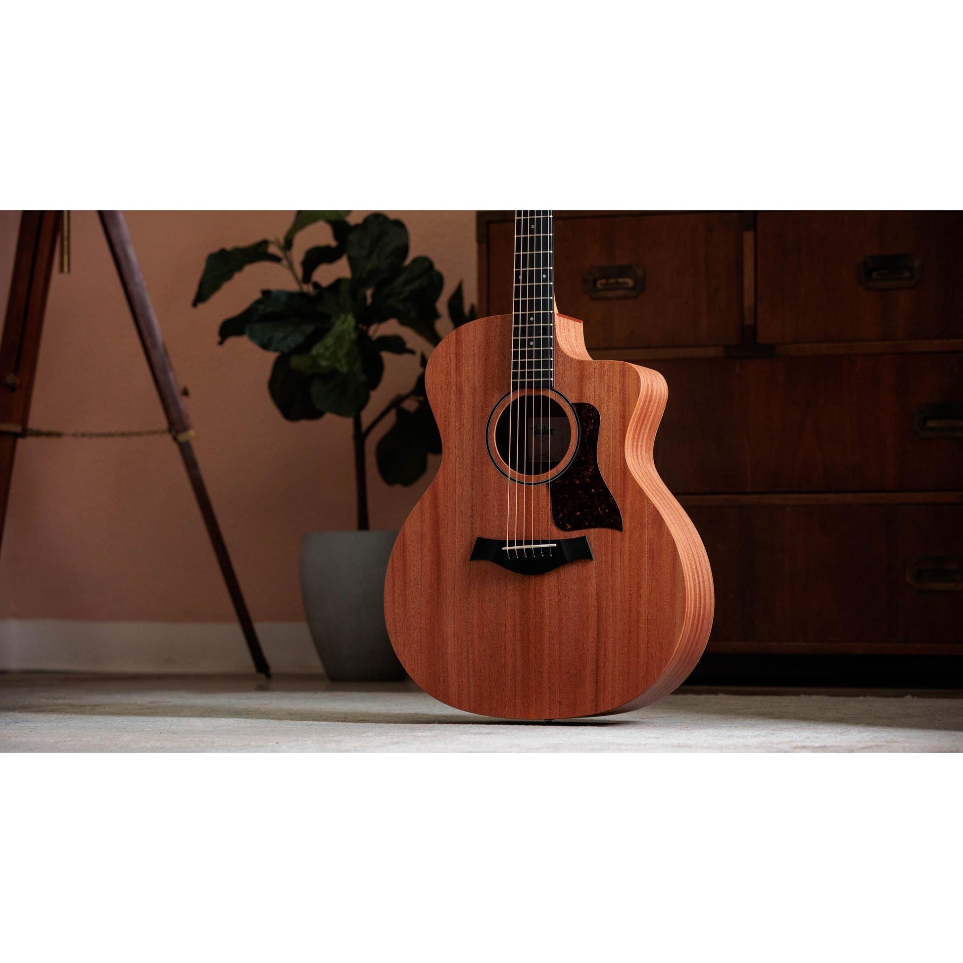 Đàn Guitar Acoustic Taylor 24CE - Việt Music