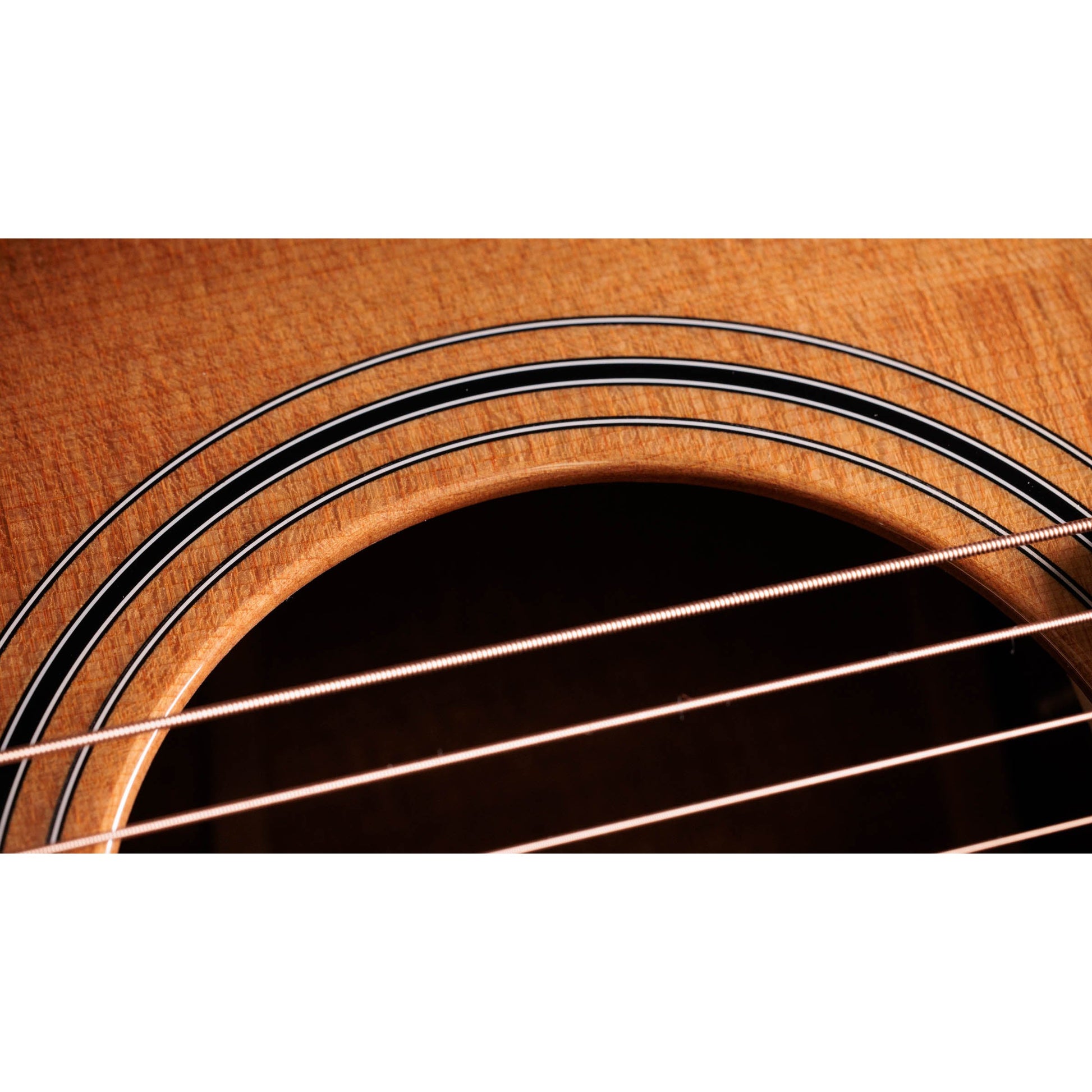 Đàn Guitar Acoustic Taylor 314ce Studio - Grand Auditorium - Việt Music