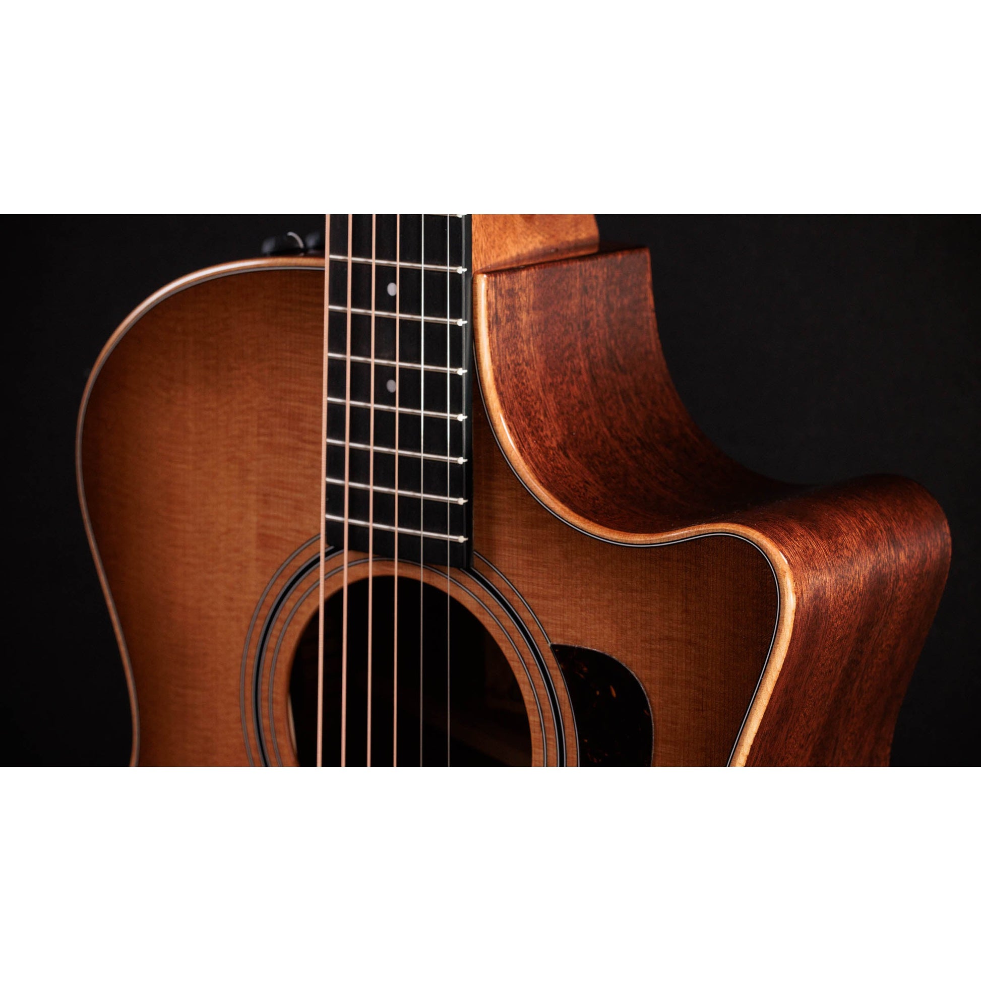 Đàn Guitar Acoustic Taylor 314ce Studio - Grand Auditorium - Việt Music