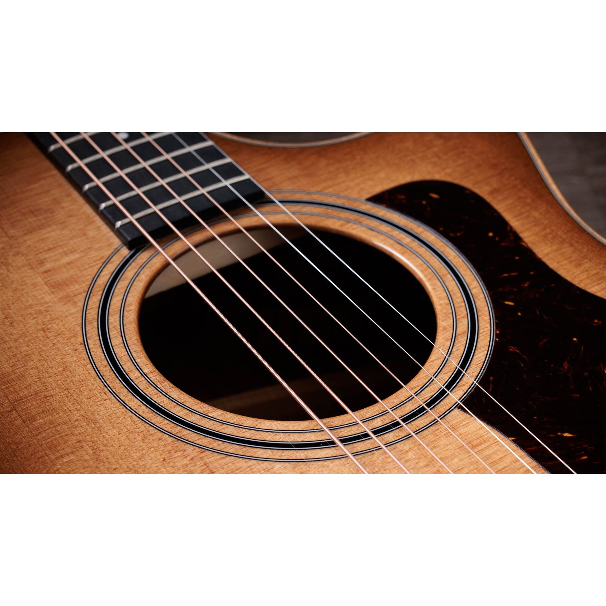 Đàn Guitar Acoustic Taylor 314ce Studio - Grand Auditorium - Việt Music