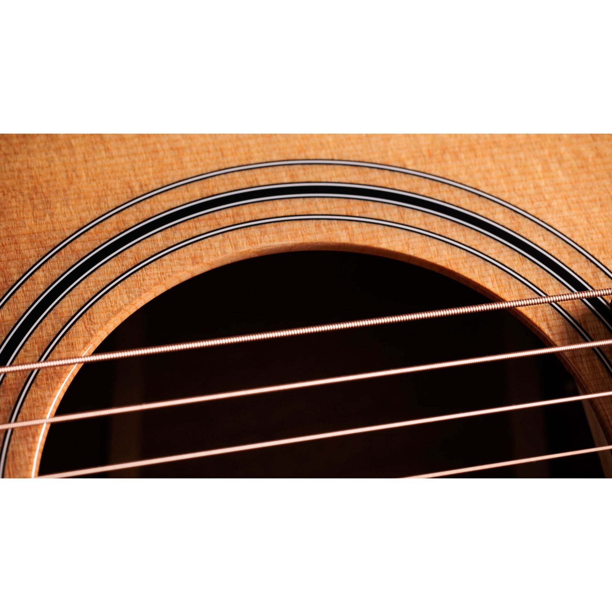 Đàn Guitar Acoustic Taylor 314ce Studio - Grand Auditorium - Việt Music