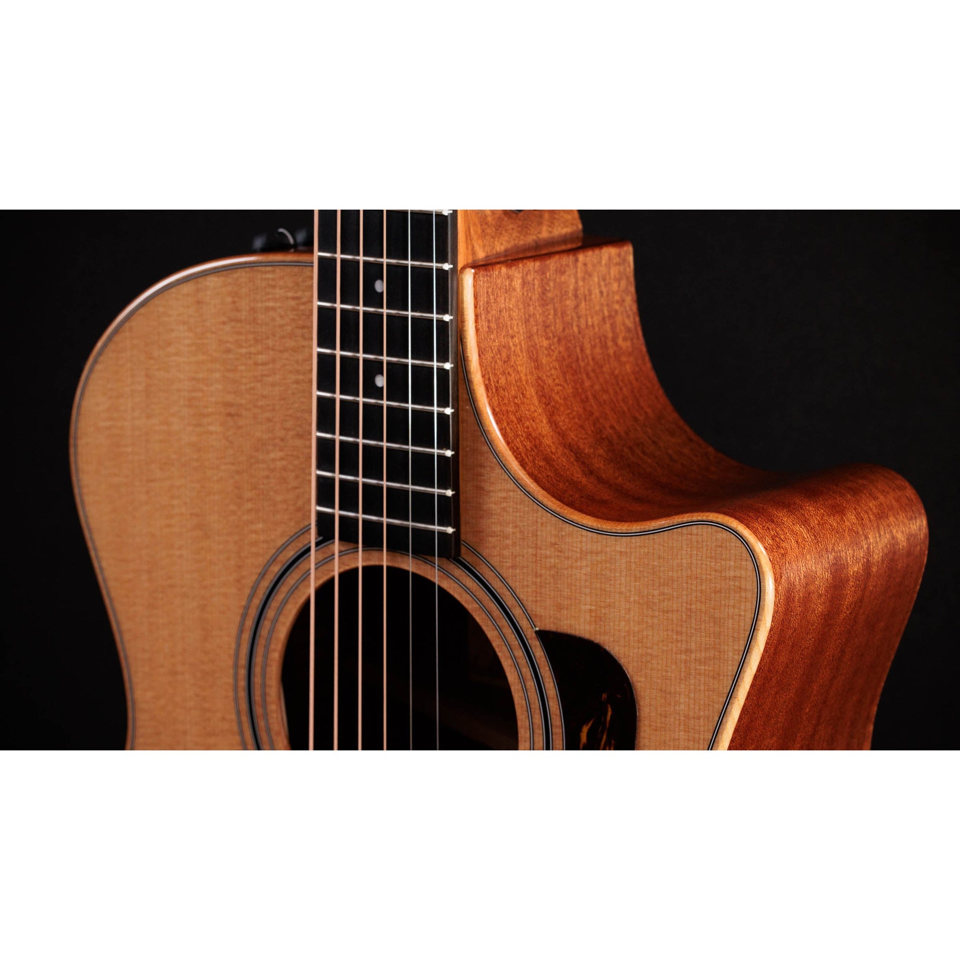 Đàn Guitar Acoustic Taylor 314ce Studio - Grand Auditorium - Việt Music