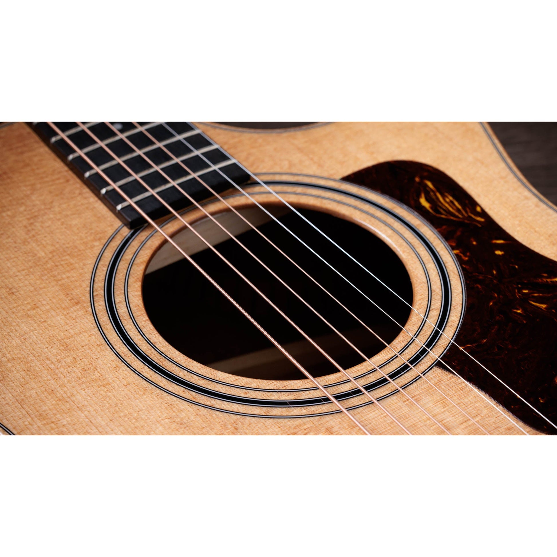 Đàn Guitar Acoustic Taylor 314ce Studio - Grand Auditorium - Việt Music