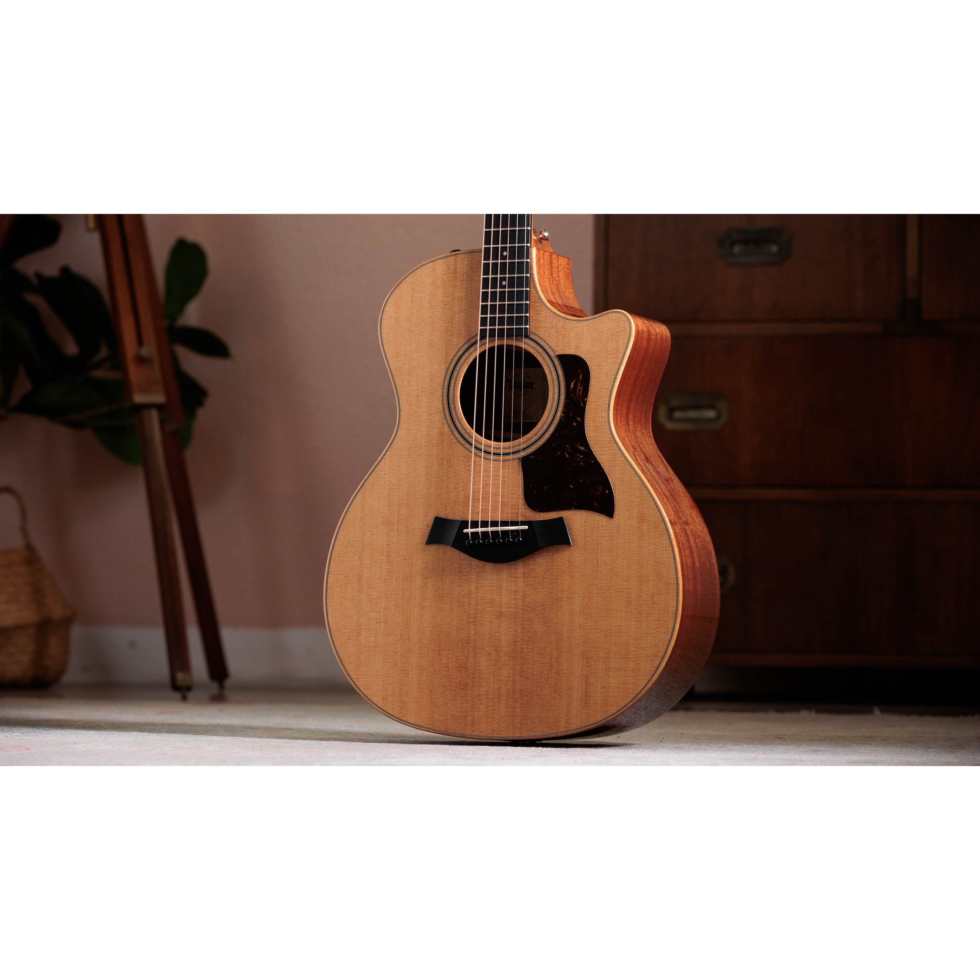 Đàn Guitar Acoustic Taylor 314ce Studio - Grand Auditorium - Việt Music