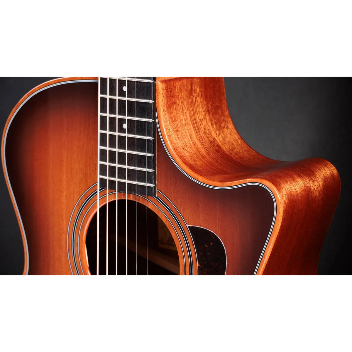 Đàn Guitar Acoustic Taylor 324ce Studio Special Edition - Việt Music