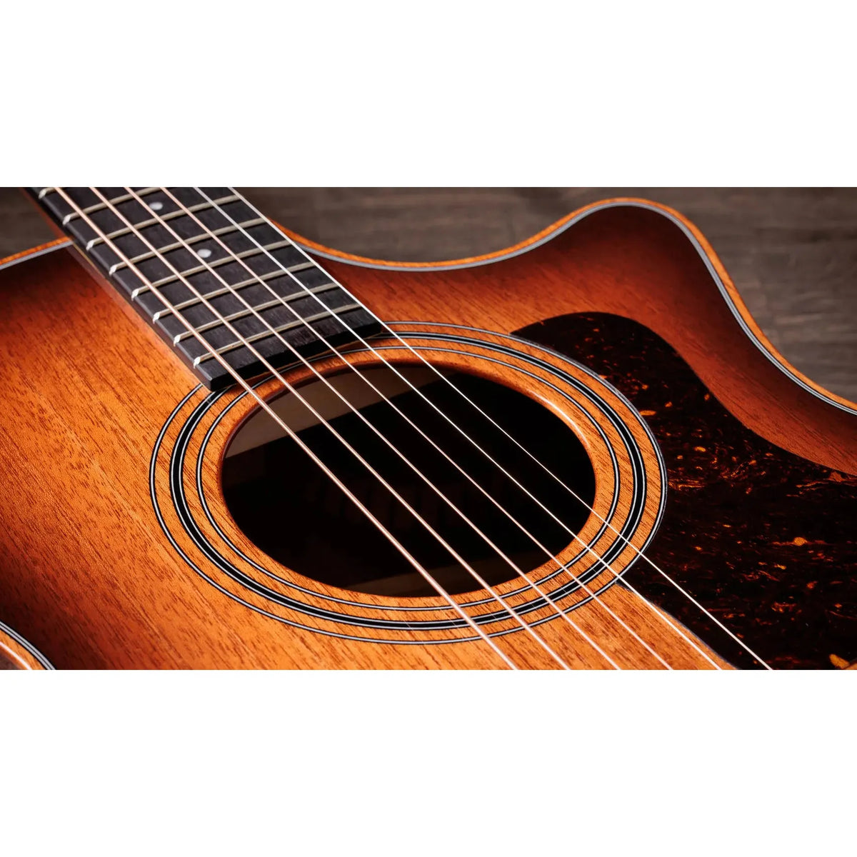 Đàn Guitar Acoustic Taylor 324ce Studio Special Edition - Việt Music