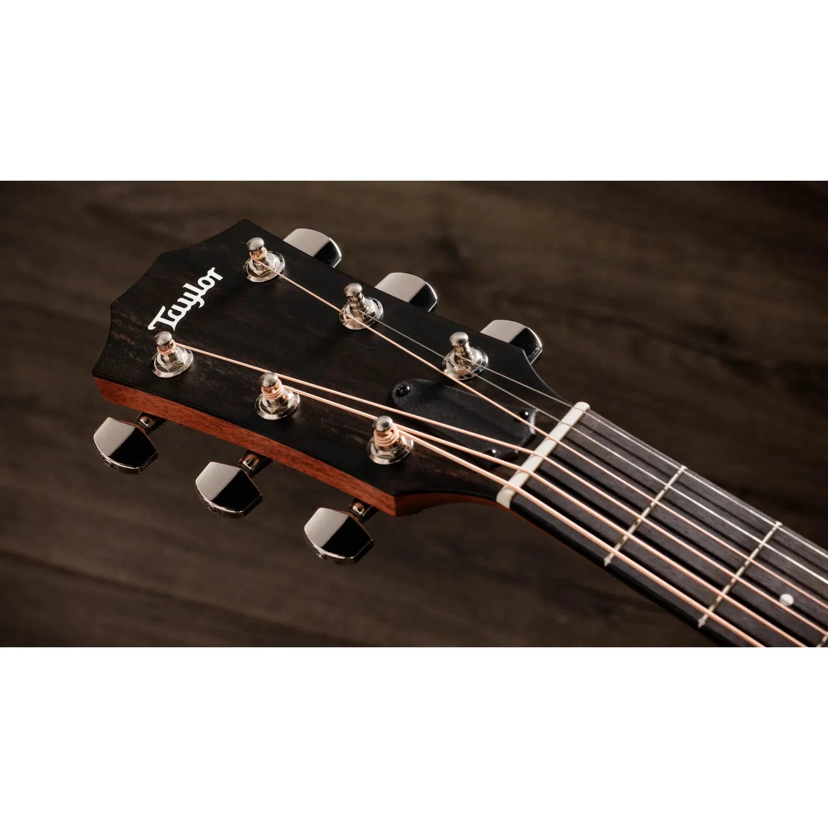 Đàn Guitar Acoustic Taylor 324ce Studio Special Edition - Việt Music
