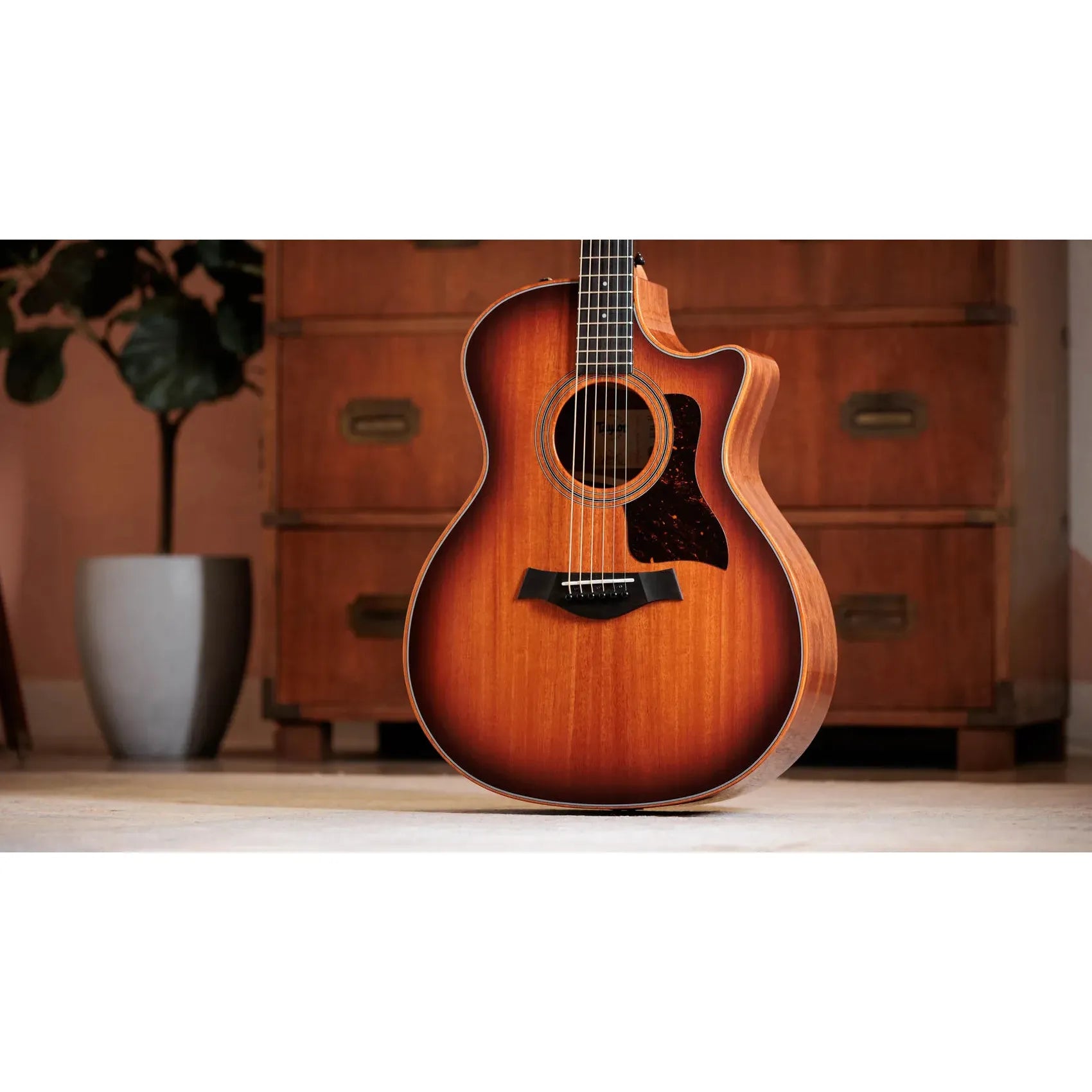 Đàn Guitar Acoustic Taylor 324ce Studio Special Edition - Việt Music