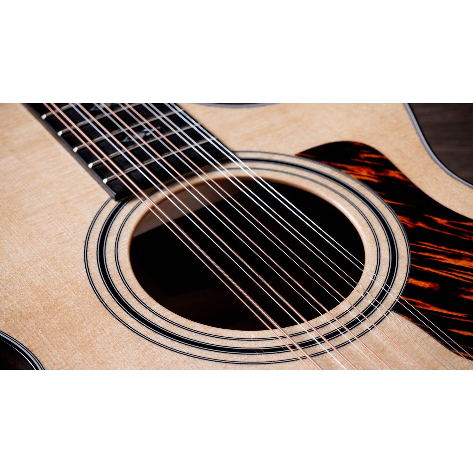 Đàn Guitar Acoustic Taylor 352CE - Grand Concert - Việt Music