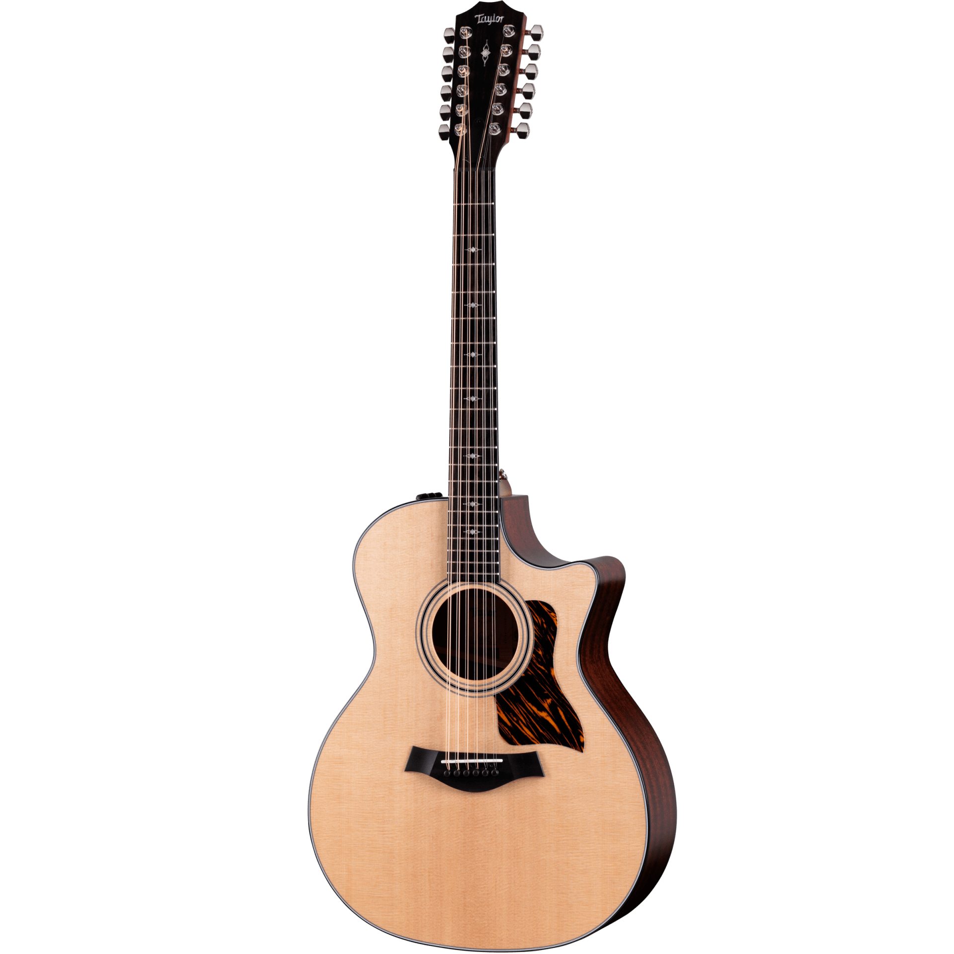 Đàn Guitar Acoustic Taylor 354ce - Việt Music