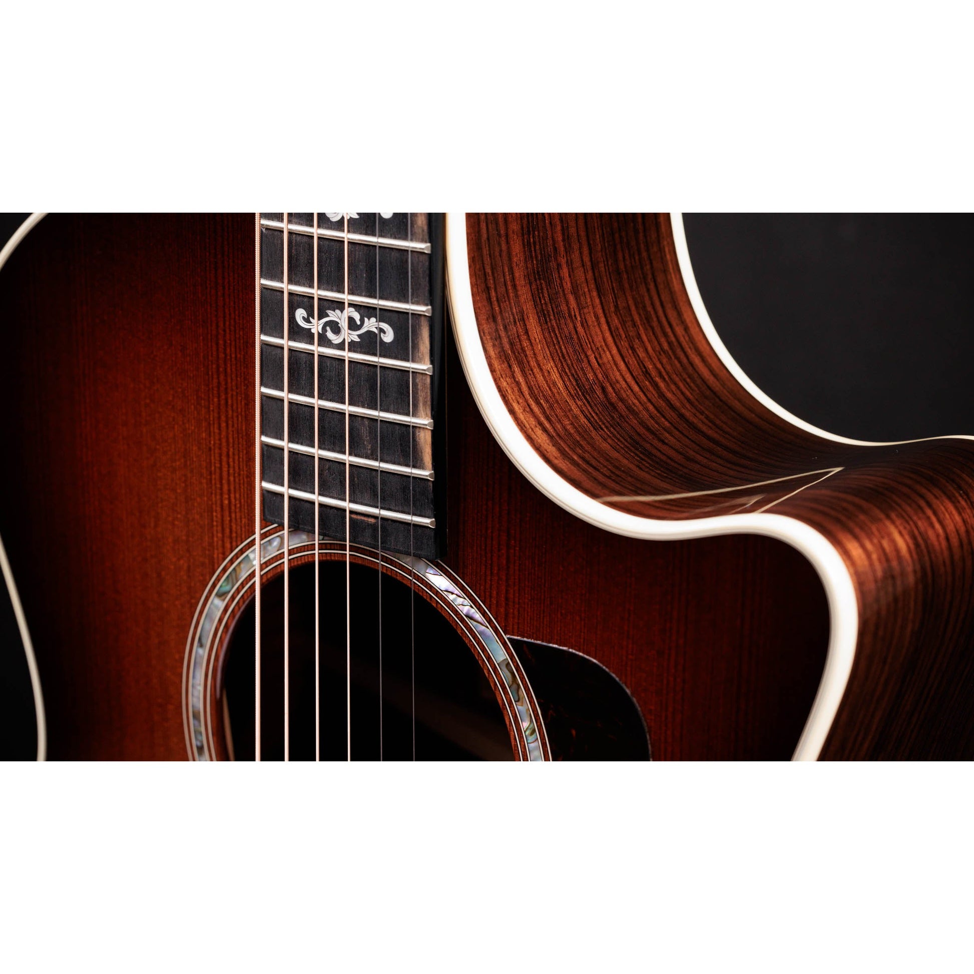 Đàn Guitar Acoustic Taylor 414CE Special Edition - 50th Anniversary - Grand Auditorium - Việt Music