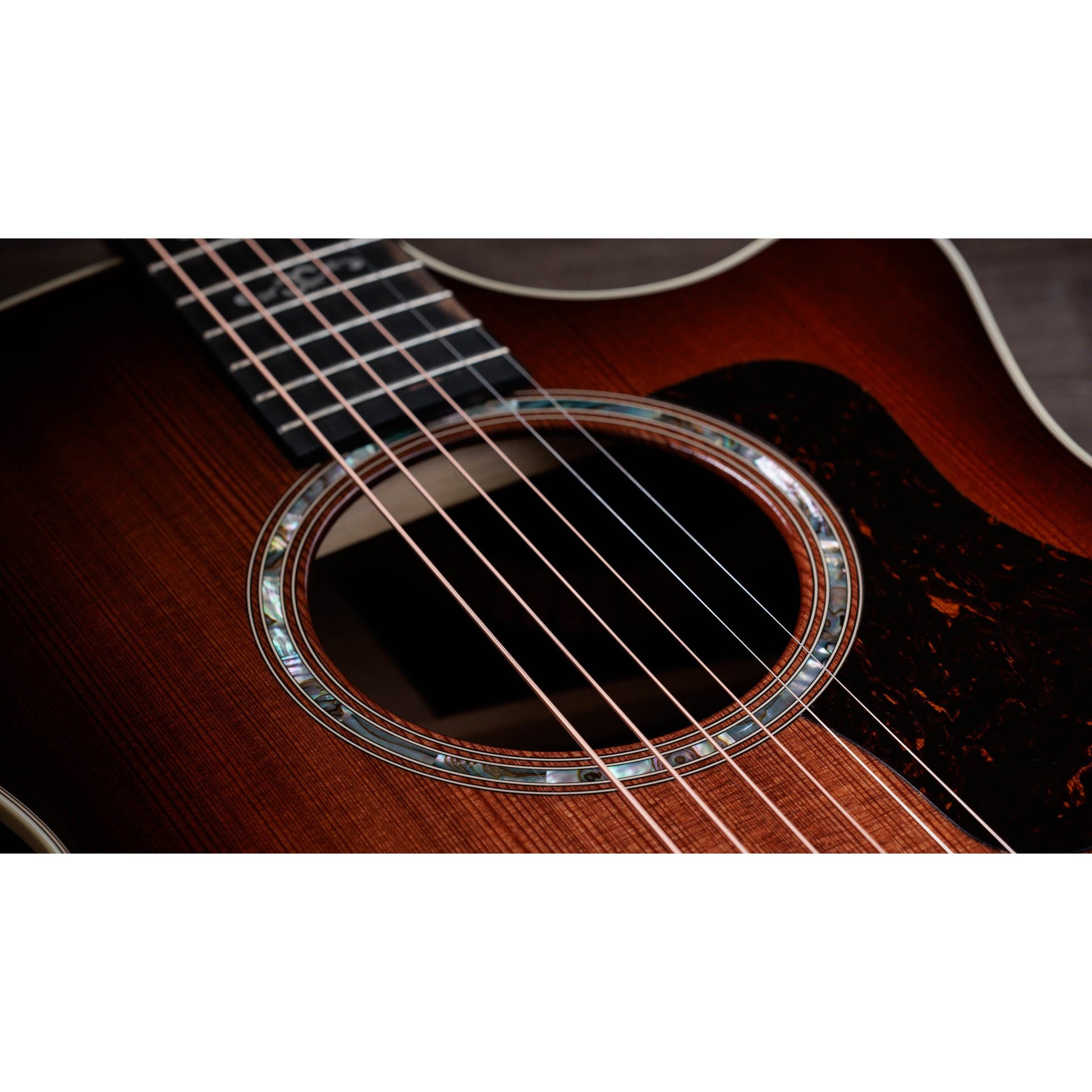 Đàn Guitar Acoustic Taylor 414CE Special Edition - 50th Anniversary - Grand Auditorium - Việt Music