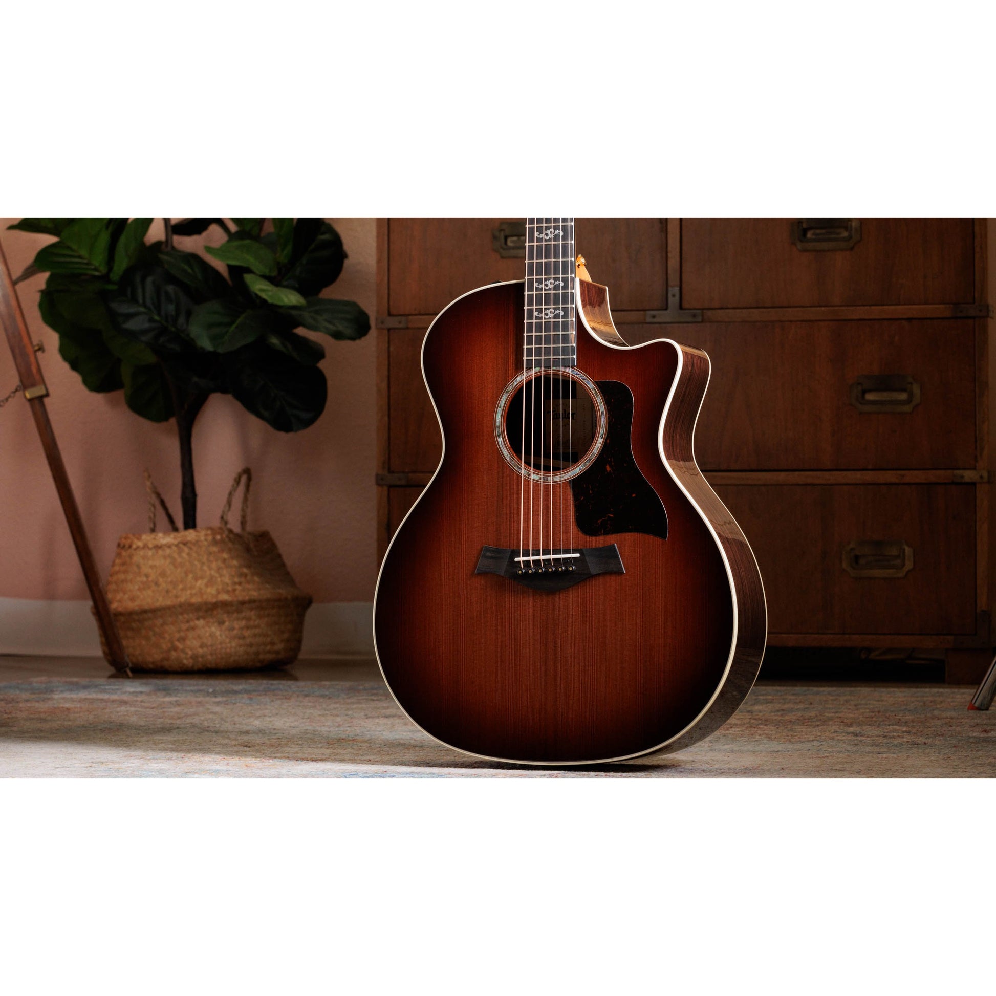 Đàn Guitar Acoustic Taylor 414CE Special Edition - 50th Anniversary - Grand Auditorium - Việt Music