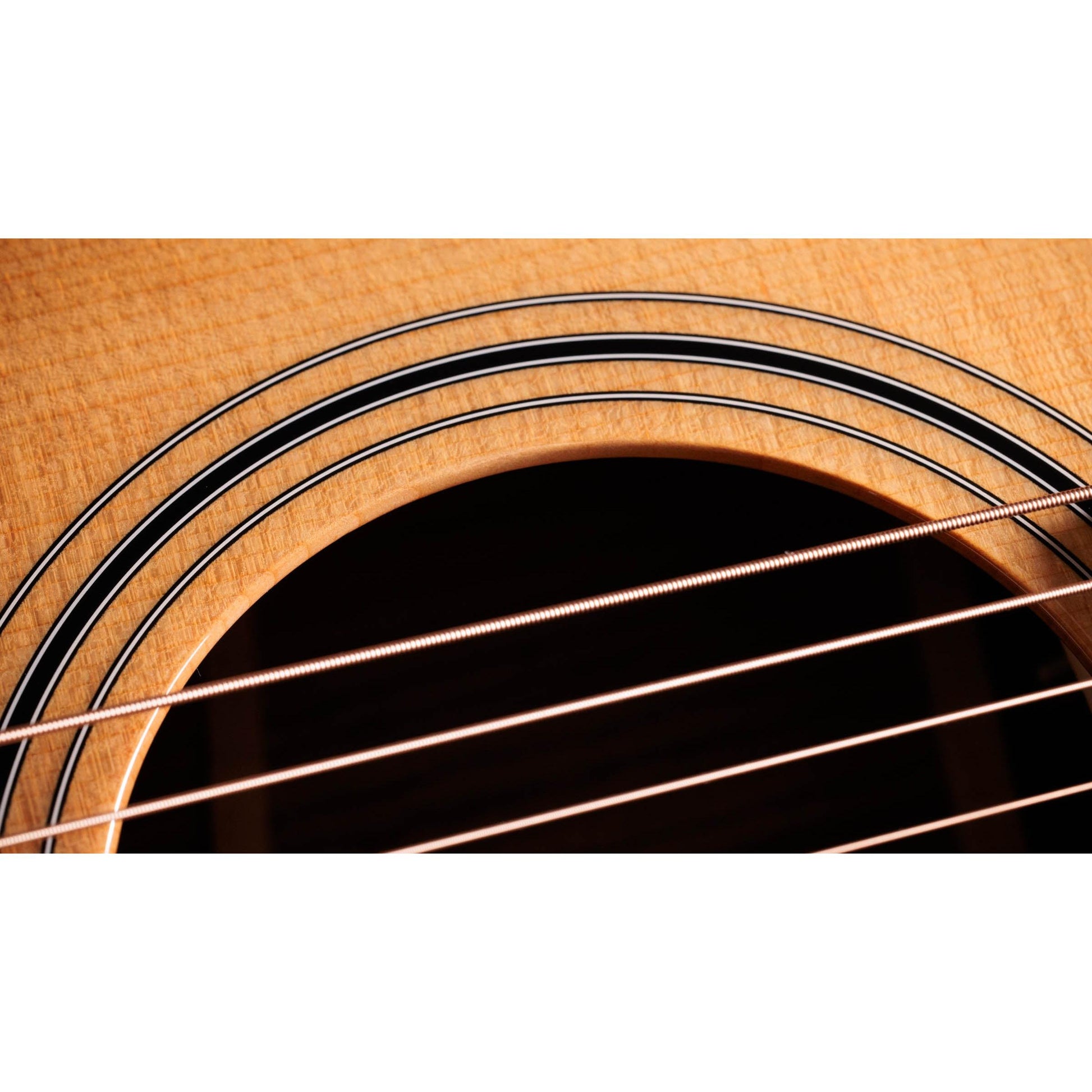 Đàn Guitar Acoustic Taylor 414ce Studio - Việt Music