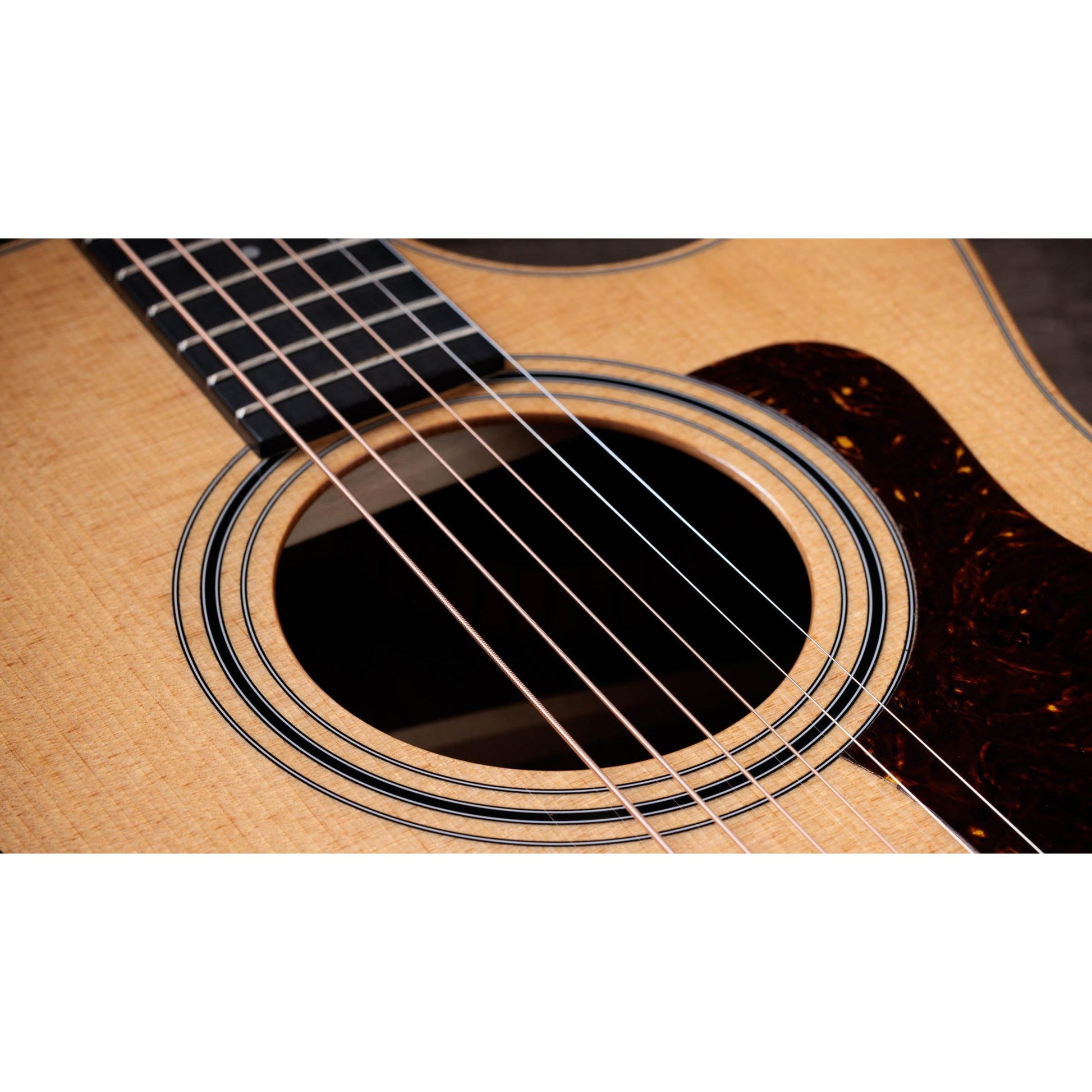 Đàn Guitar Acoustic Taylor 414ce Studio - Việt Music