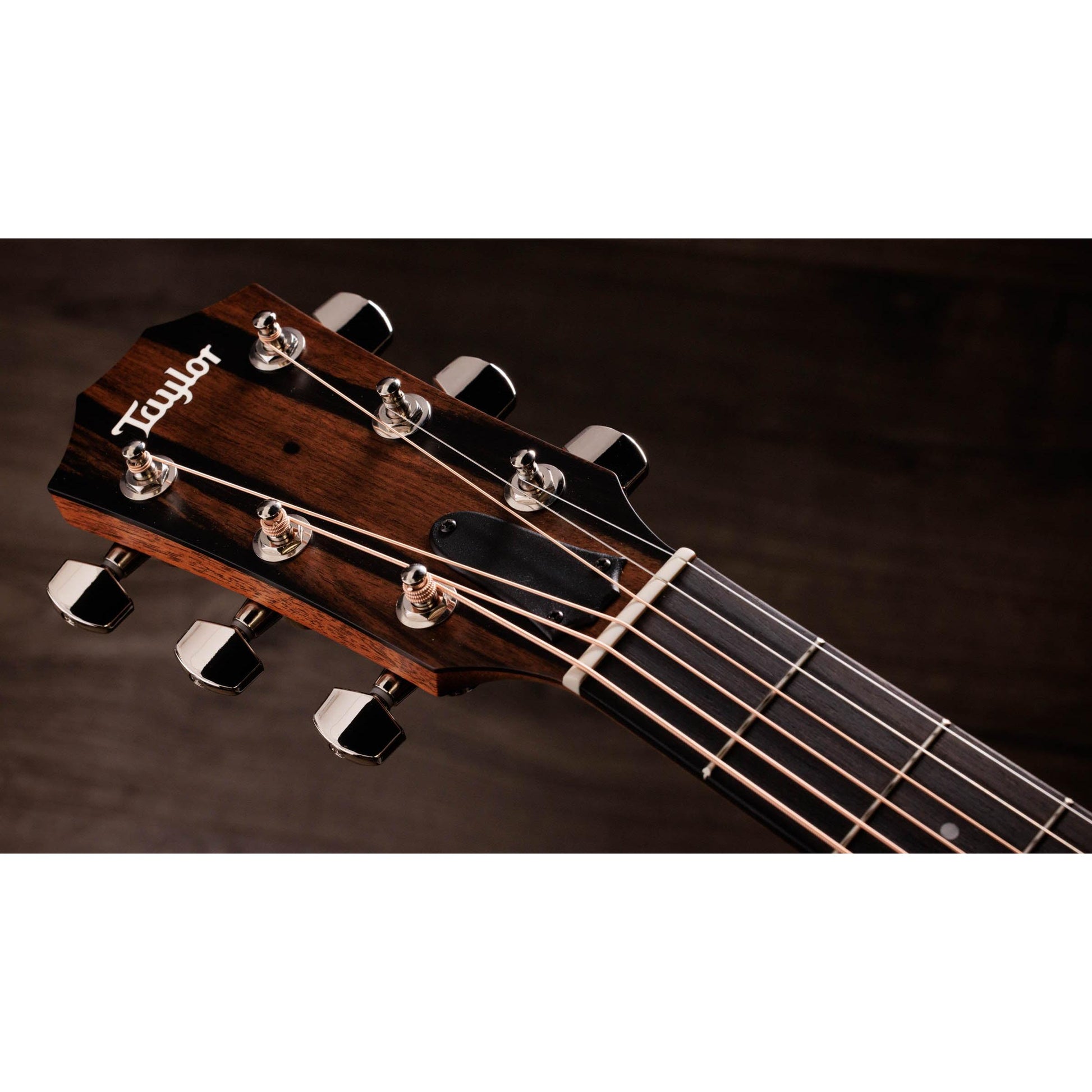 Đàn Guitar Acoustic Taylor 414ce Studio - Việt Music