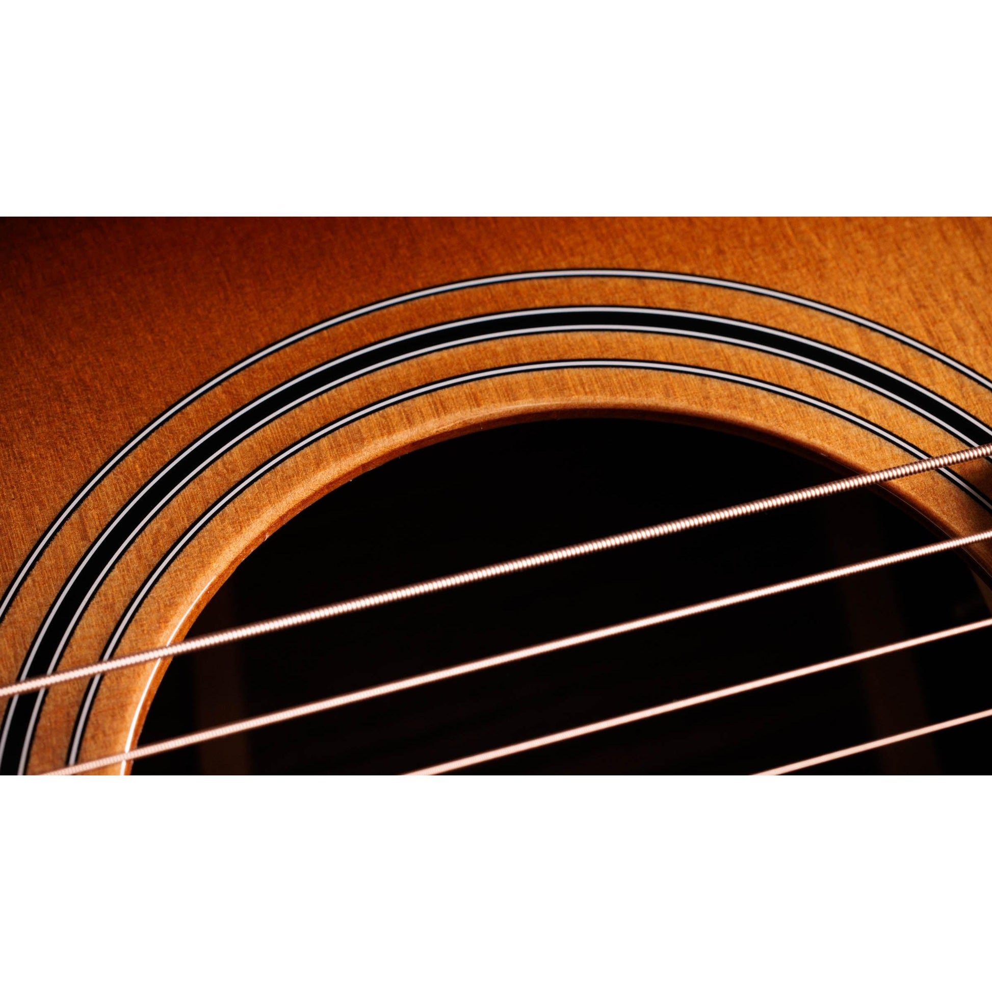 Đàn Guitar Acoustic Taylor 414ce Studio - Việt Music