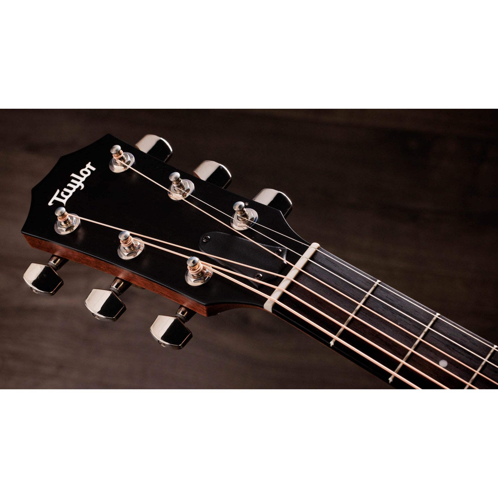 Đàn Guitar Acoustic Taylor 414ce Studio - Việt Music