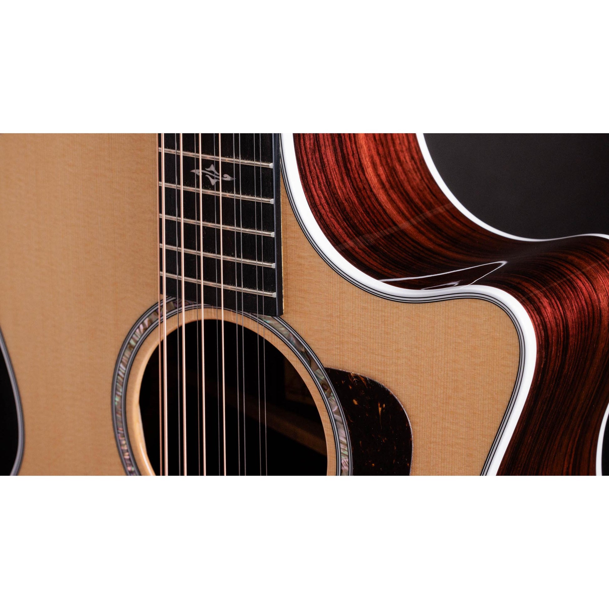 Đàn Guitar Acoustic Taylor 454CE - 12 Strings - Việt Music