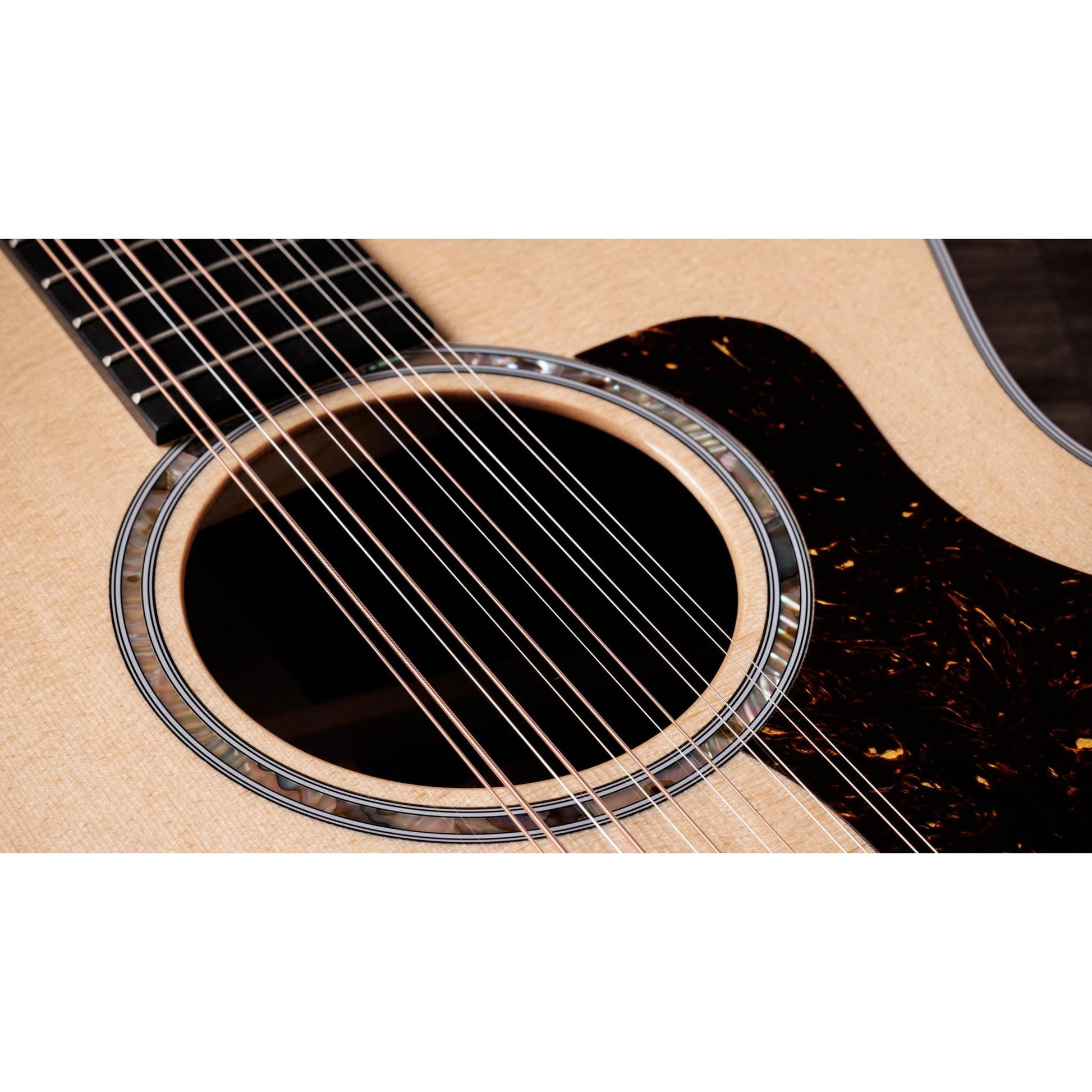 Đàn Guitar Acoustic Taylor 454CE - 12 Strings - Việt Music