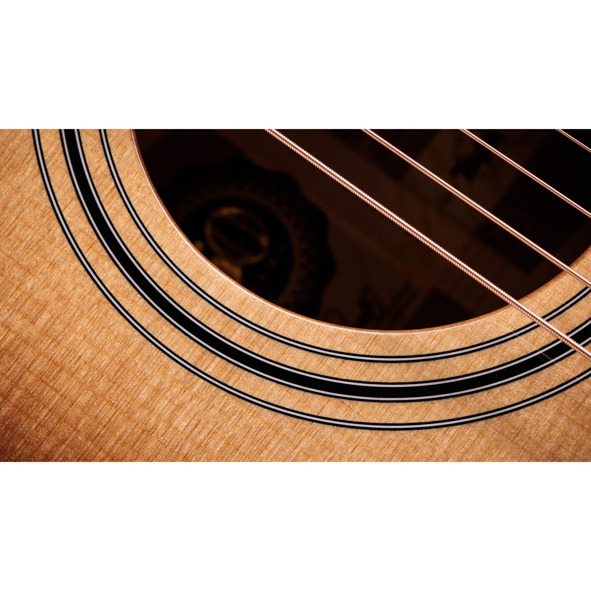 Đàn Guitar Acoustic Taylor 312CE LTD - 50th Anniversary - Grand Concert - Việt Music