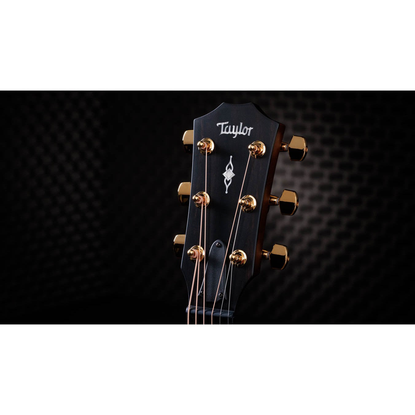 Đàn Guitar Acoustic Taylor 312CE LTD - 50th Anniversary - Grand Concert - Việt Music