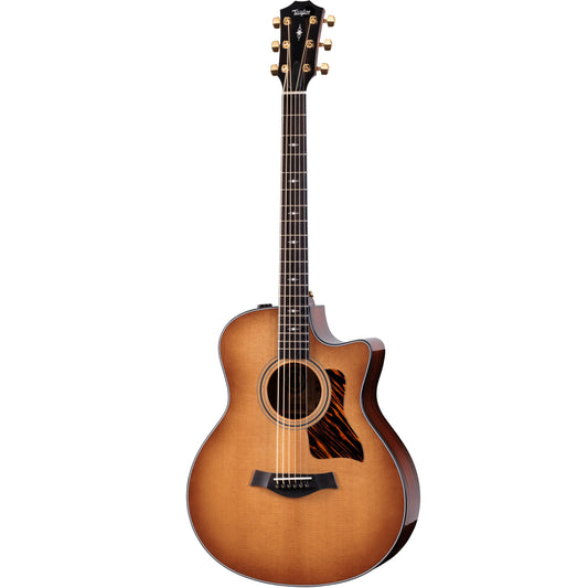 Đàn Guitar Acoustic Taylor 316CE Baritone-6 LTD - 50th Anniversary - Grand Symphony - Việt Music