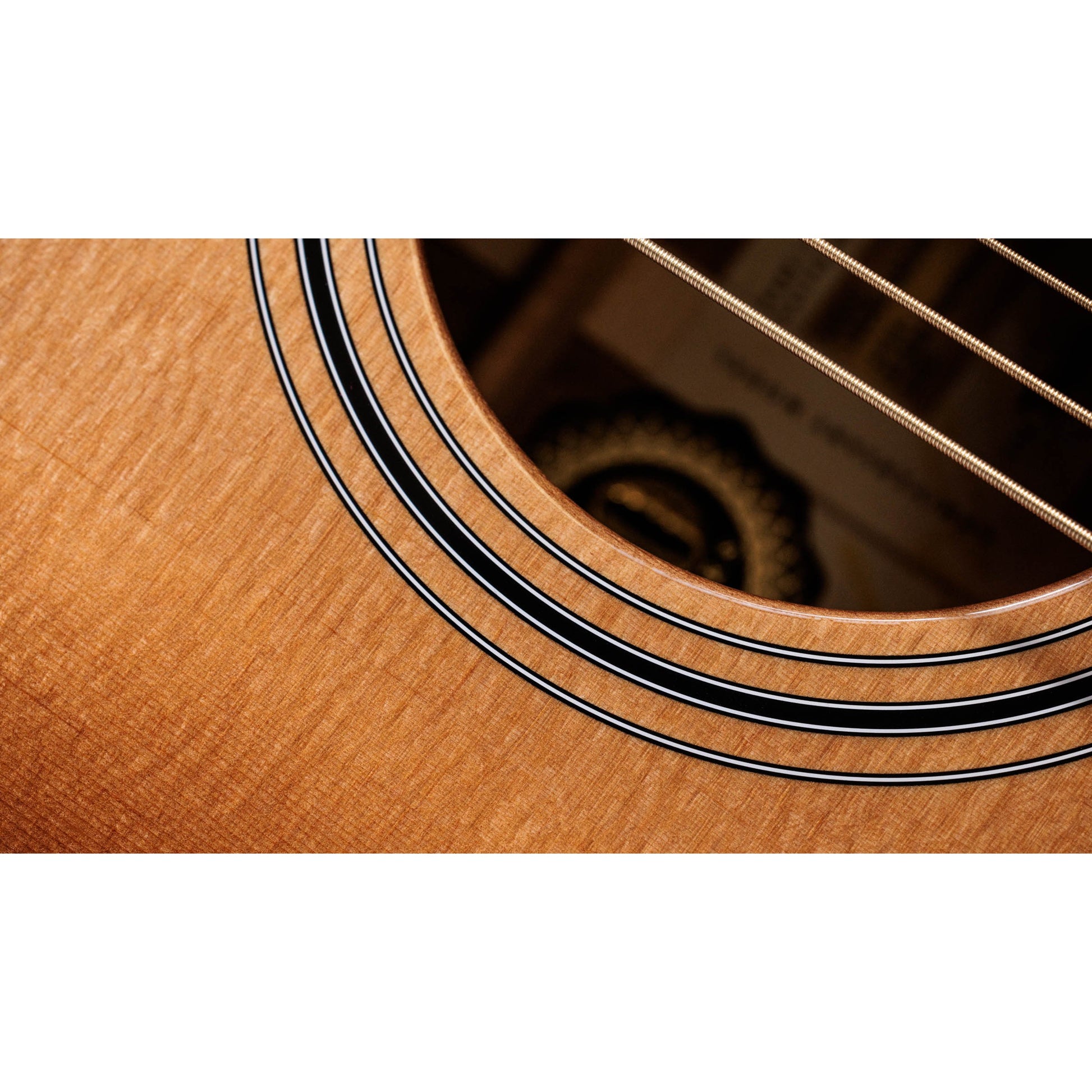 Đàn Guitar Acoustic Taylor 316CE Baritone-6 LTD - 50th Anniversary - Grand Symphony - Việt Music