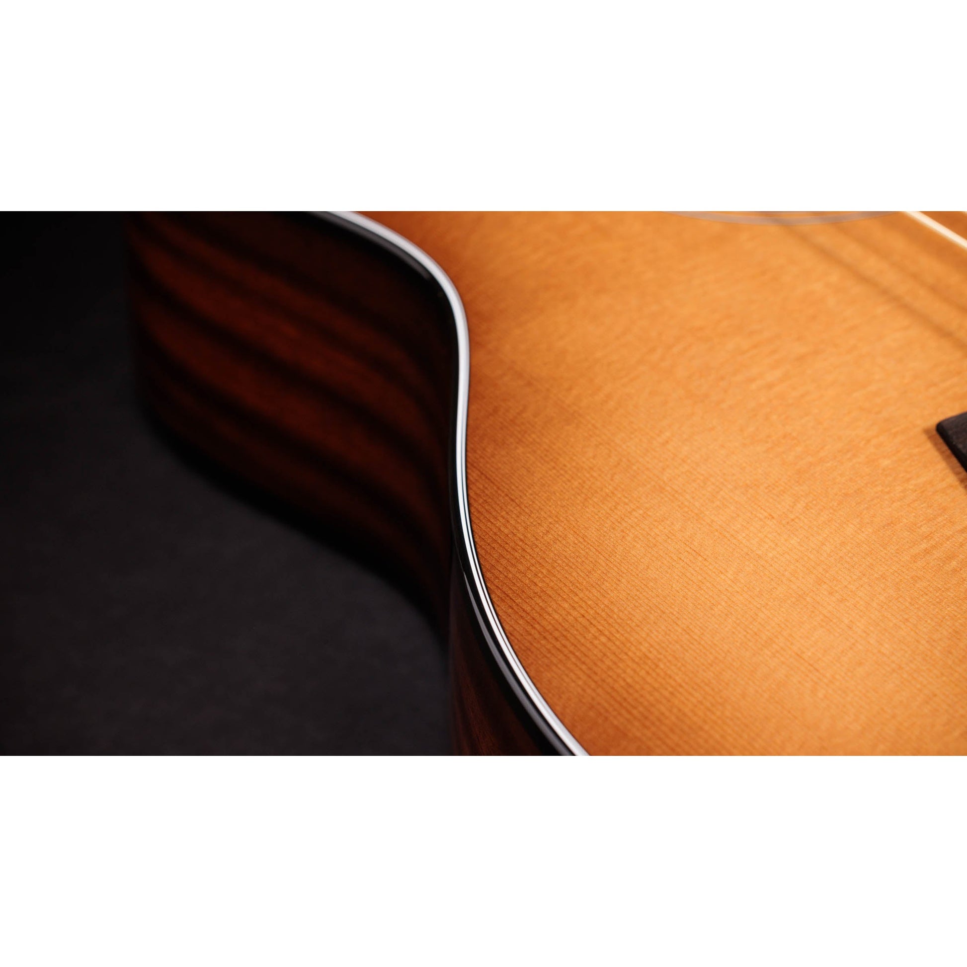 Đàn Guitar Acoustic Taylor 316CE Baritone-6 LTD - 50th Anniversary - Grand Symphony - Việt Music