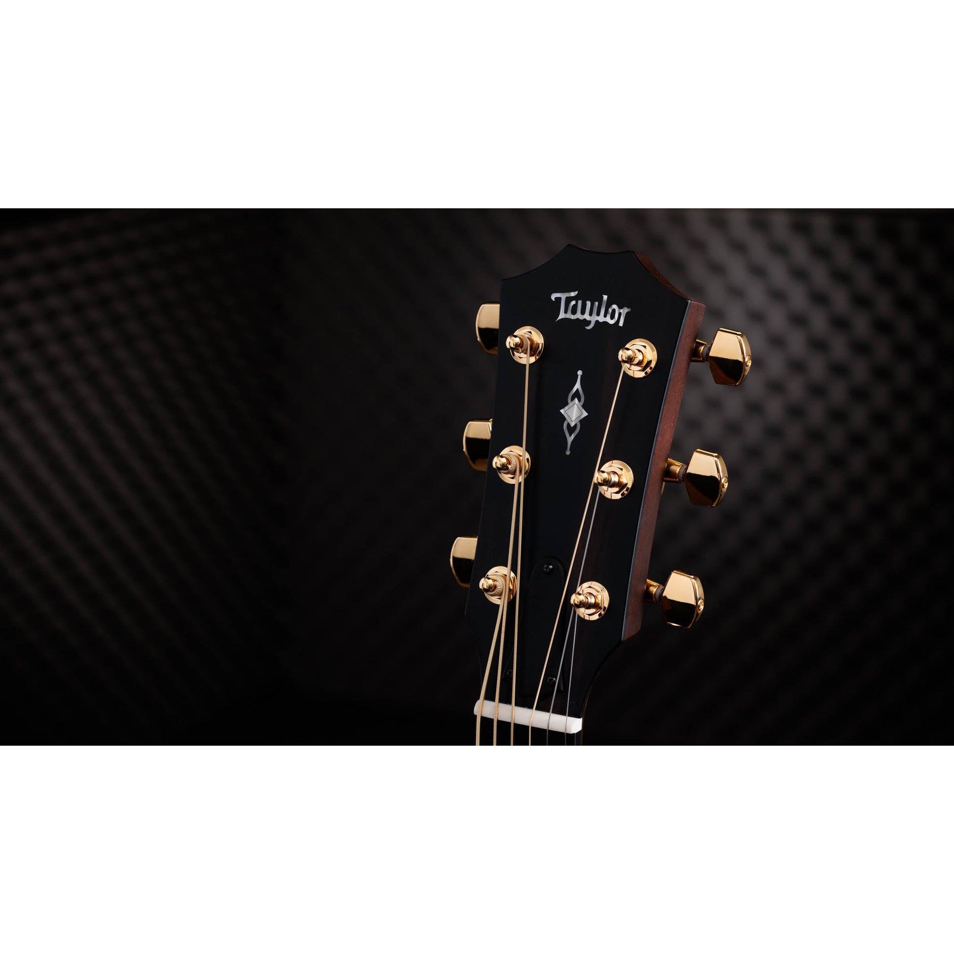 Đàn Guitar Acoustic Taylor 316CE Baritone-6 LTD - 50th Anniversary - Grand Symphony - Việt Music